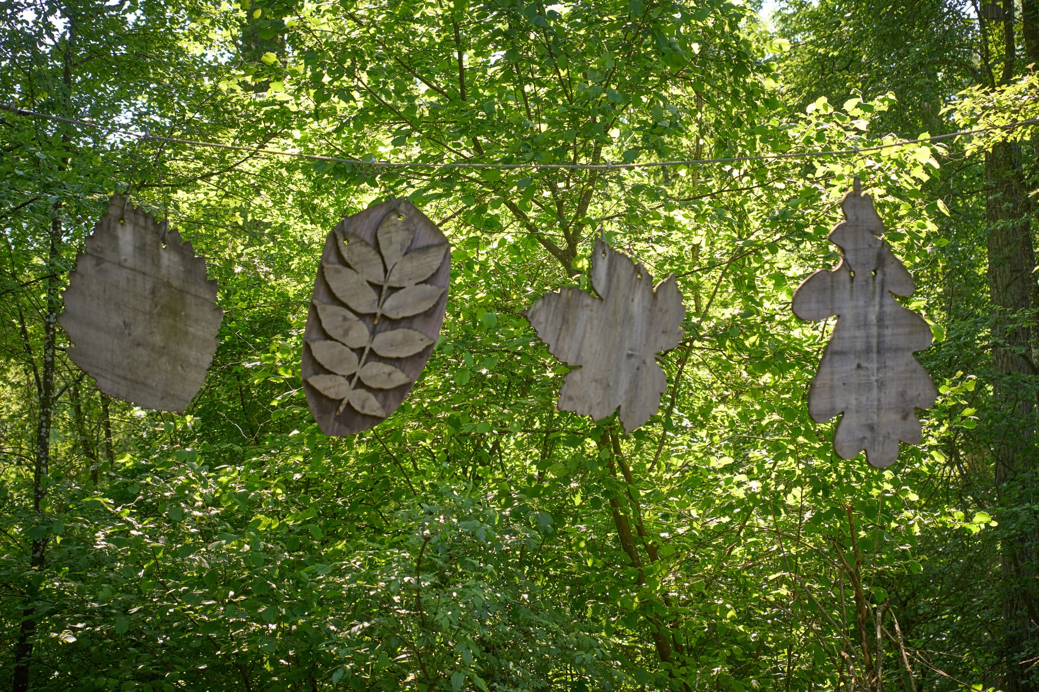 Naturerlebnisweg Innaue, Mühldorf, MÜ, Inn-Salzach - Hölzerne Blattformen am Naturerlebnisweg Innaue in Mühldorf am Inn, Oberbayern. Eine grüne Waldlandschaft der Inn-Salzach-Region in Deutschland.