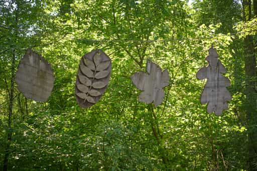 Naturerlebnisweg Innaue, Mühldorf, MÜ, Inn-Salzach