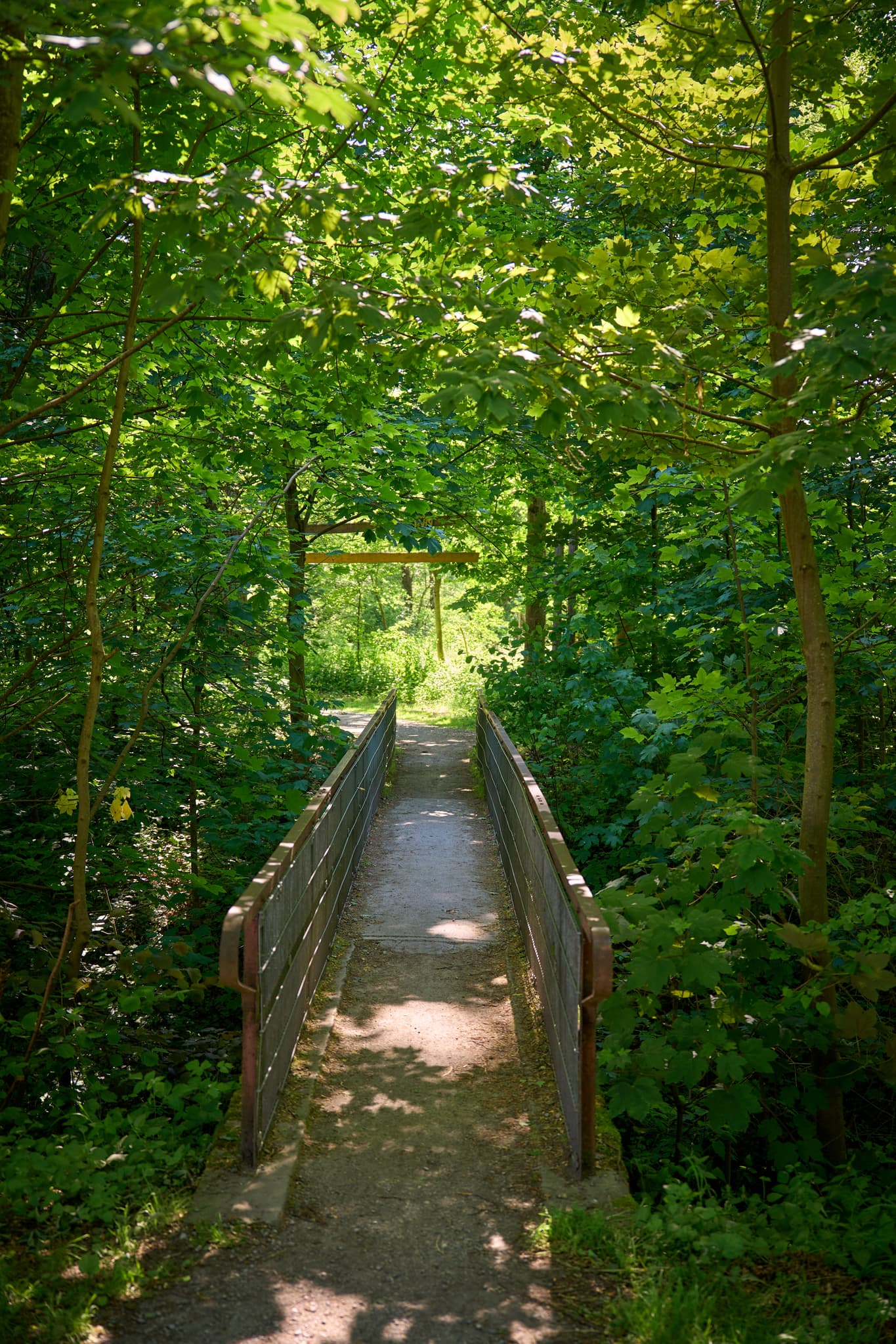 Naturerlebnisweg Innaue, Mühldorf, Oberbayern - Naturerlebnisweg Innaue in Mühldorf am Inn, Oberbayern. Dieser Pfad mit kleiner Brücke führt durch dicht bewaldetes Gebiet in der Inn-Salzach Region.