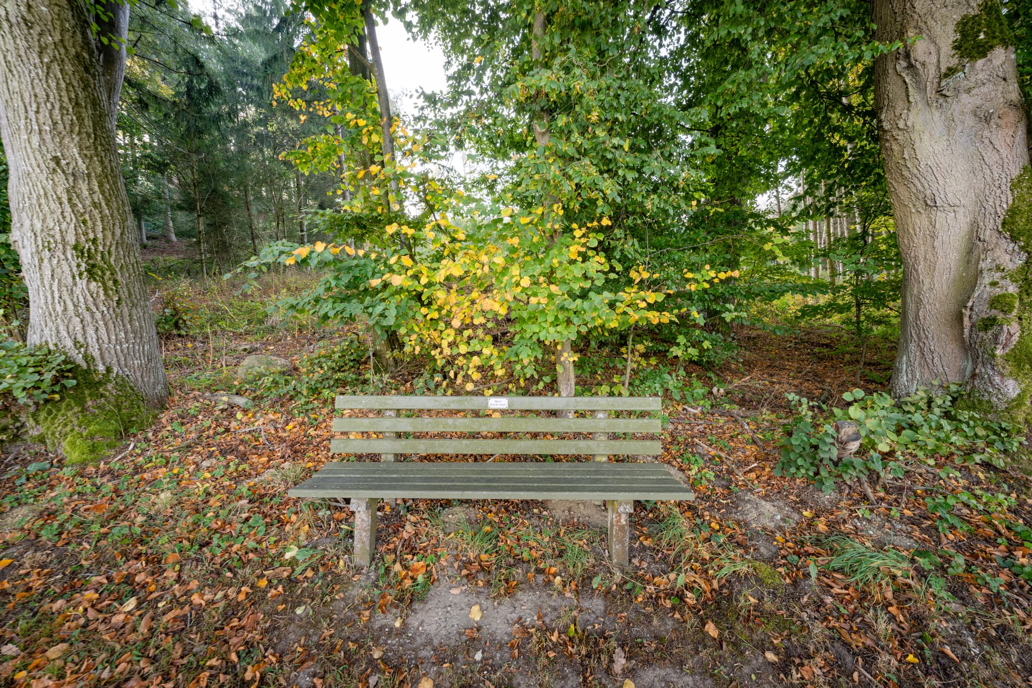 Neudeck Aussicht, Bad Birnbach, Niederbayern, Bäderdreieck - Sitzbank an der Neudeck Aussicht bei Bad Birnbach, Rottal-Inn, Niederbayern. Umgeben von Bäumen und herbstlichem Laub im Bäderdreieck.