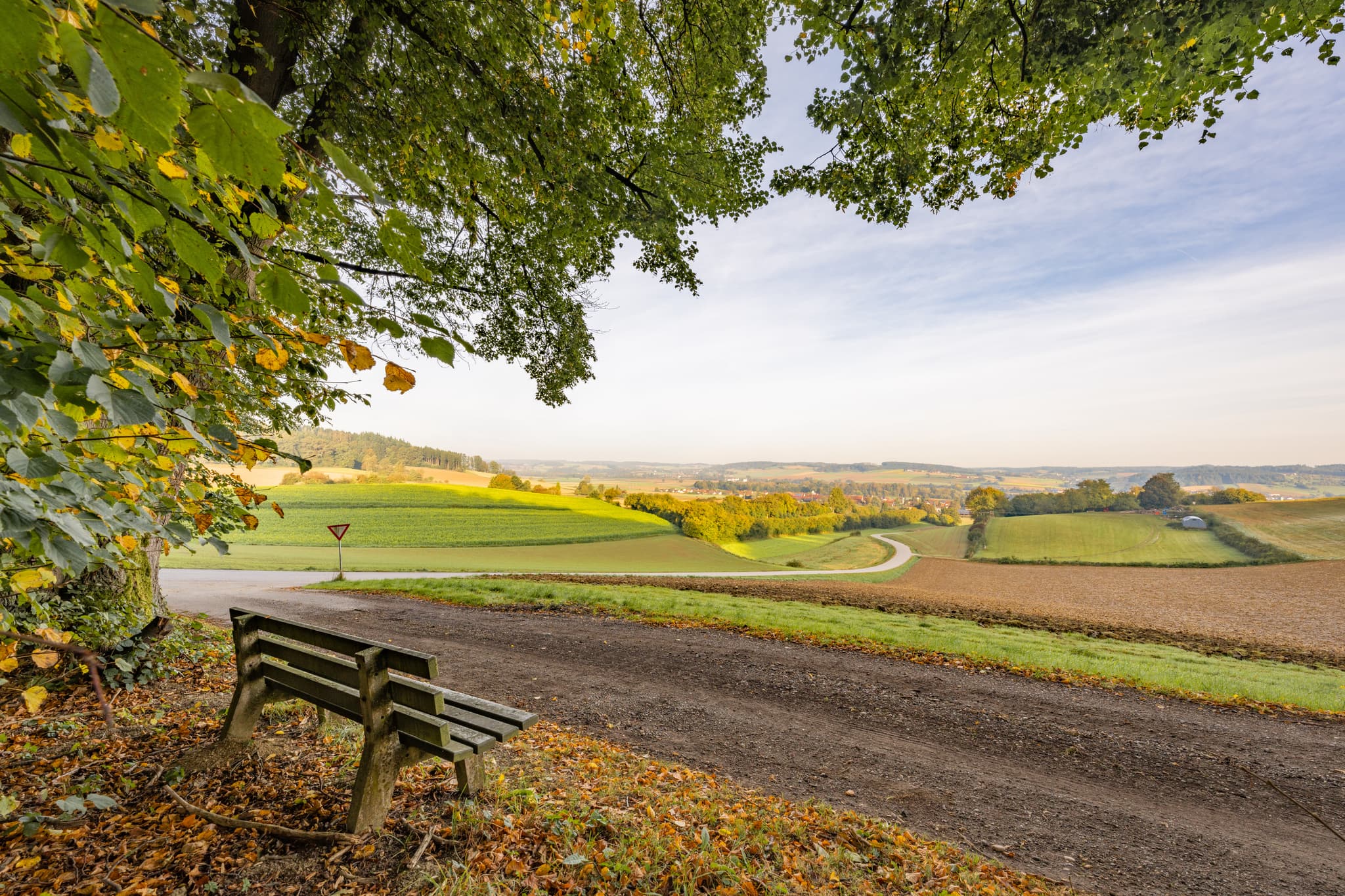 Neudeck Aussicht, Rottal-Inn, Niederbayern, Bäderdrieck - Neudecker Aussicht nahe Bad Birnbach, Rottal-Inn, Niederbayern. Eine Holzbank unter Baum am Wegrand bietet weiten Blick über Felder und Hügel im Bäderdrieck.
