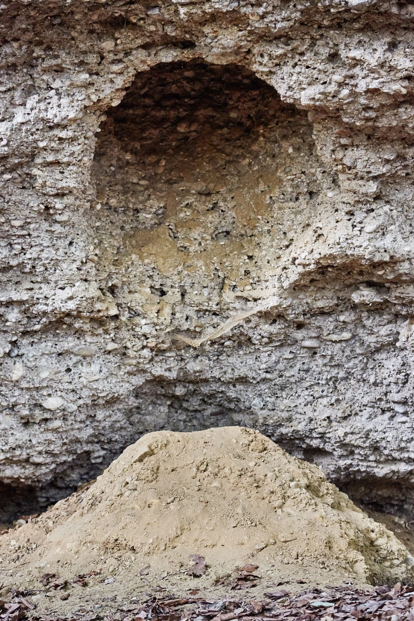 Geologische Orgeln Detail, Oberschroffen, Altötting - Geologische Orgeln in Oberschroffen, Unterneukirchen, Landkreis Altötting, Oberbayern. Detailansicht der Felsformationen in der Region Inn-Salzach, Deutschland.