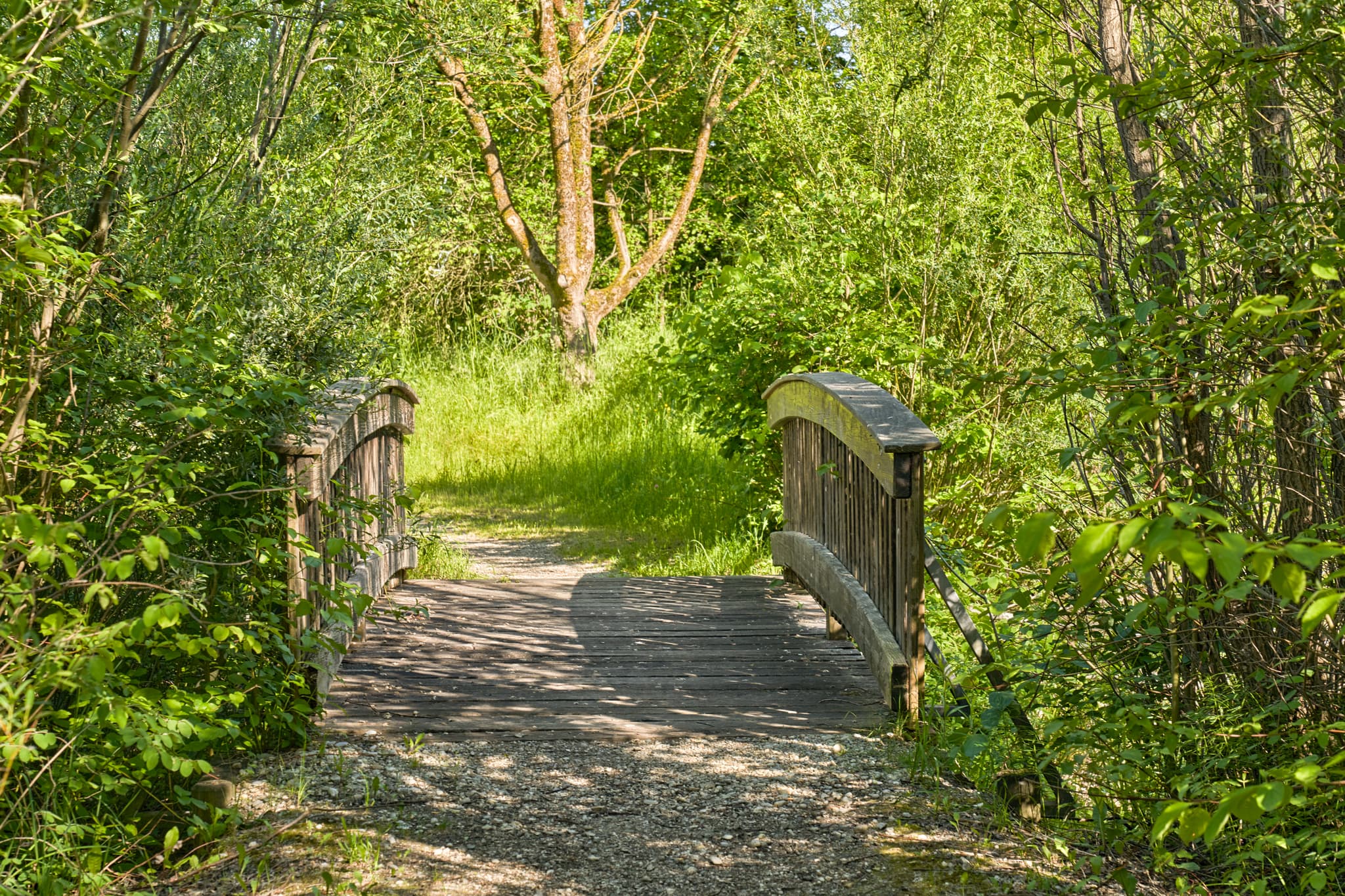Parkbahn Anlage, Neuötting, Oberbayern, Inn-Salzach - Miniatur-Parkbahnanlage in Neuötting, Altötting, Oberbayern. Szene zeigt Modellgleise, Gebäude und grünen Baumbestand. Region Inn-Salzach, Deutschland.