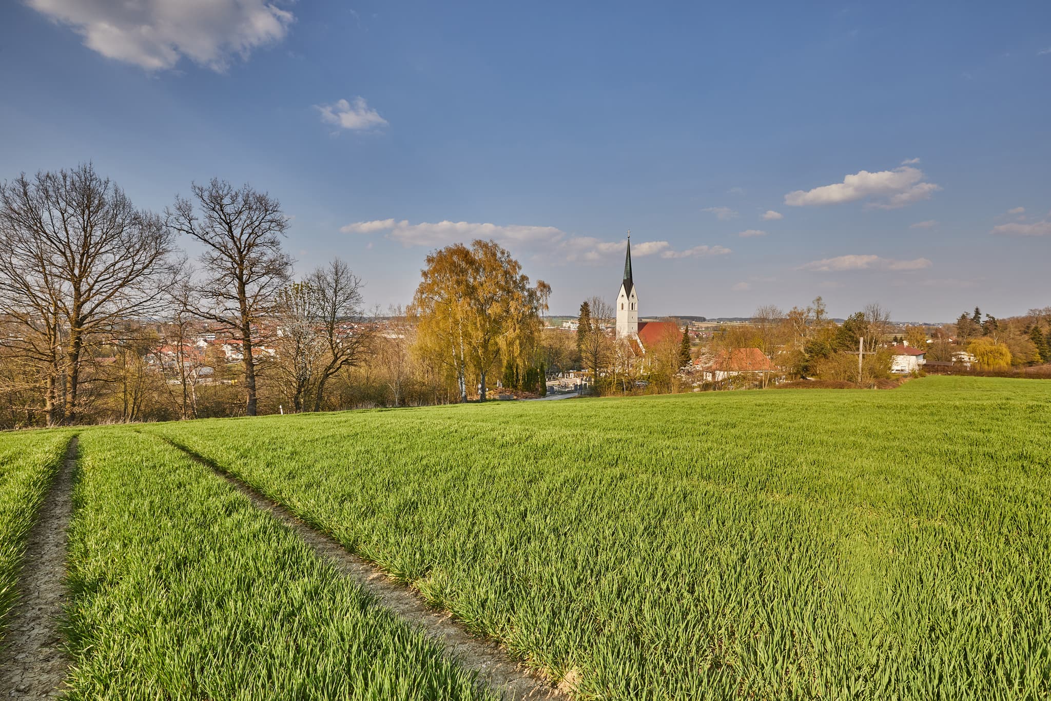 Pfarrkirche St-Stephan, Massing, Rottal-Inn - Landschaftsaufnahme mit Pfarrkirche St-Stephan in Massing, Gemeinde Massing, Landkreis Rottal-Inn, Niederbayern, Region Holzland, Deutschland.