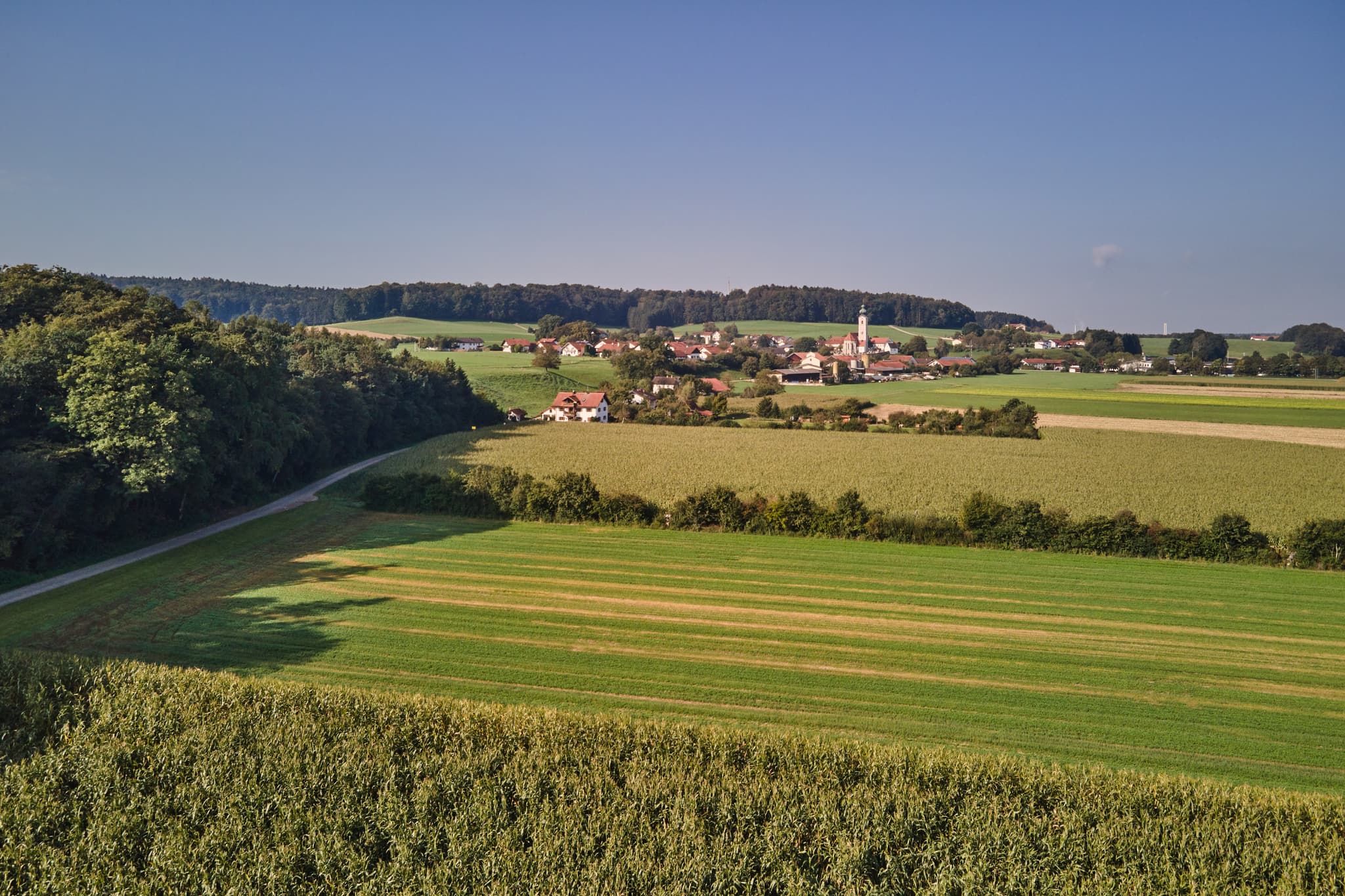 Pilgerweg Richtung Mehring, Badhöring, Altötting, Oberbayern - Dorf Badhöring bei Mehring im Landkreis Altötting, Oberbayern. Landschaft der Region Inn-Salzach, Deutschland, zeigt Felder und Wälder entlang eines Pilgerwegs.