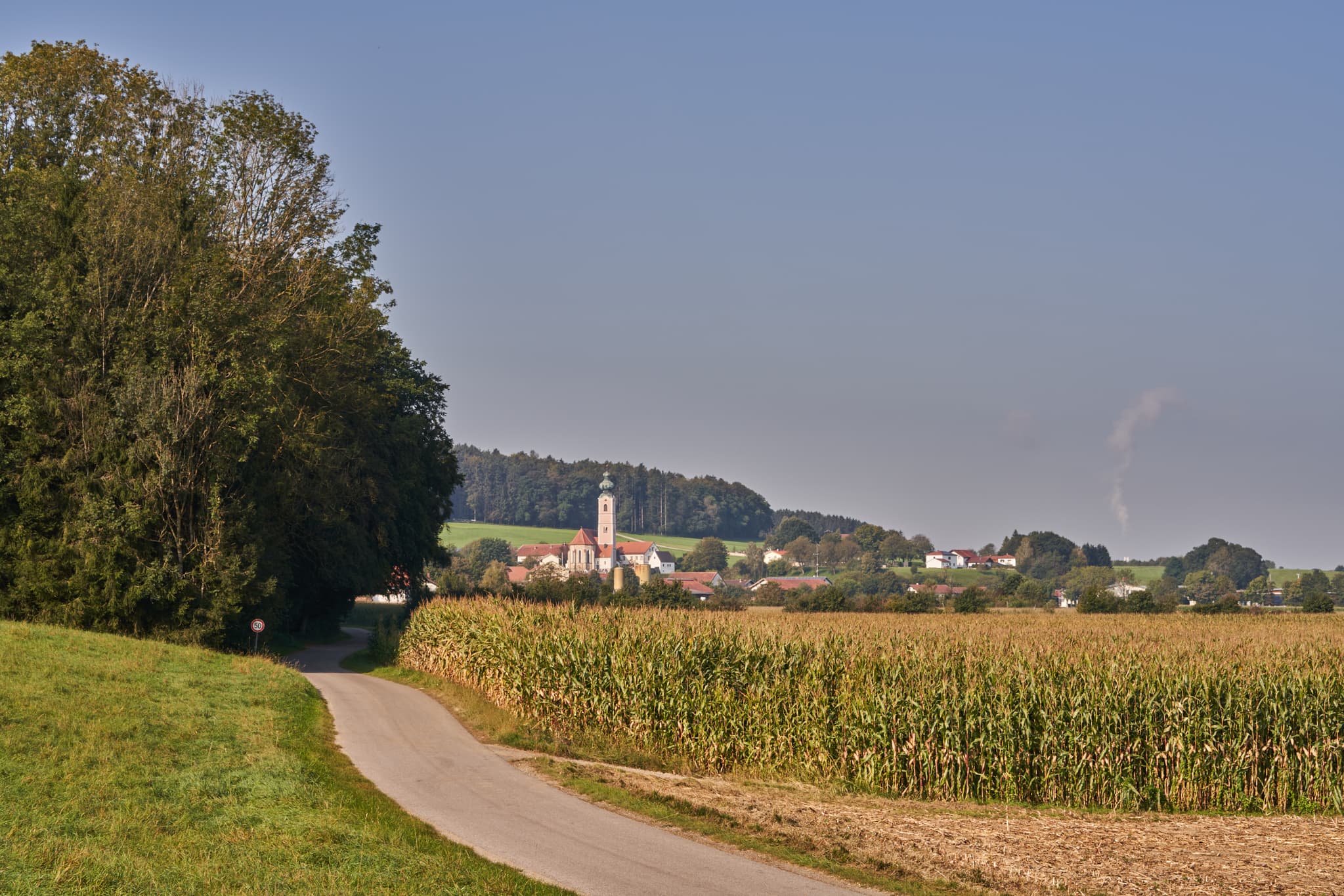 Pilgerweg Richtung Mehring, Badhöring, Altötting, Oberbayern - Weg durch Maisfelder bei Badhöring, Gemeinde Mehring. Im Hintergrund der Ort mit Kirchturm. Die Landschaft liegt im Landkreis Altötting, Region Inn-Salzach