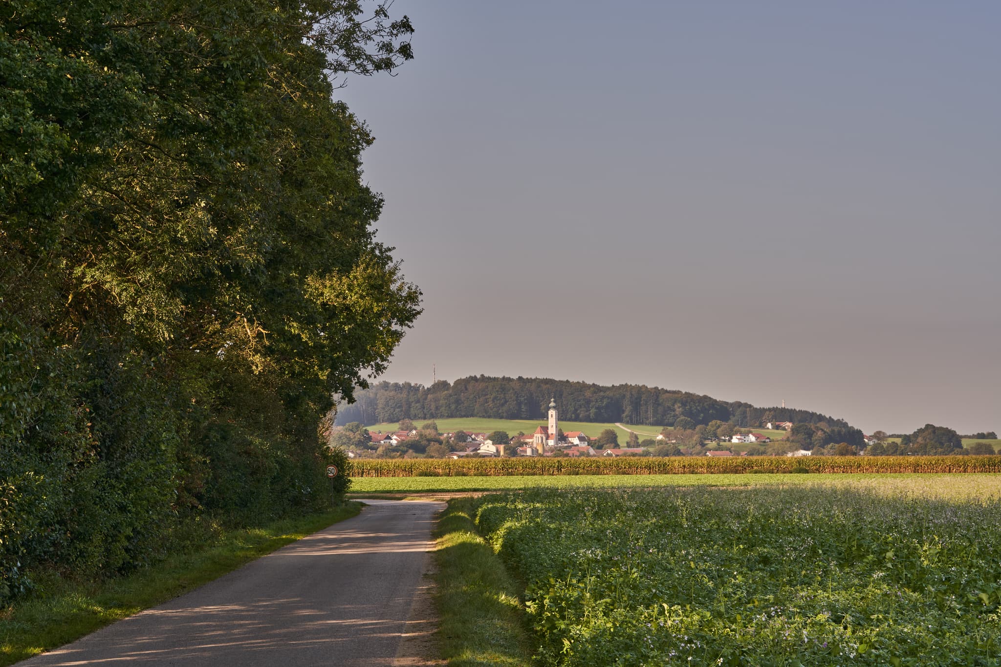 Pilgerweg Richtung Mehring, Badhöring, Altötting, Oberbayern - Ein Pilgerweg führt durch Felder nach Badhöring, einer malerischen Ortschaft in Mehring, Landkreis Altötting, Oberbayern, Region Inn-Salzach, Deutschland.