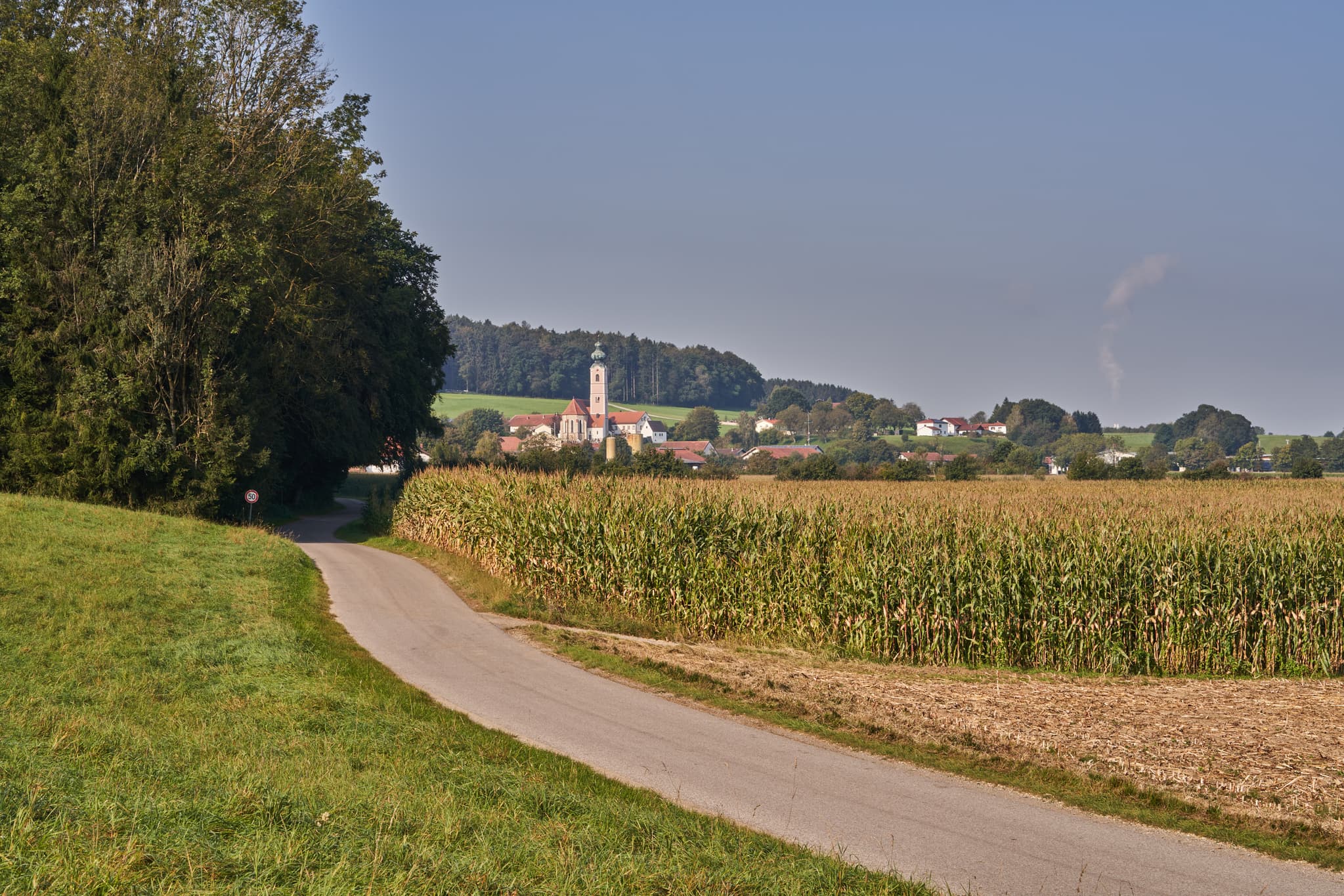Pilgerweg Richtung Mehring, Badhöring, Altötting, Oberbayern - Weg durch Maisfelder bei Badhöring, Gemeinde Mehring. Im Hintergrund der Ort mit Kirchturm. Die Landschaft liegt im Landkreis Altötting, Region Inn-Salzach