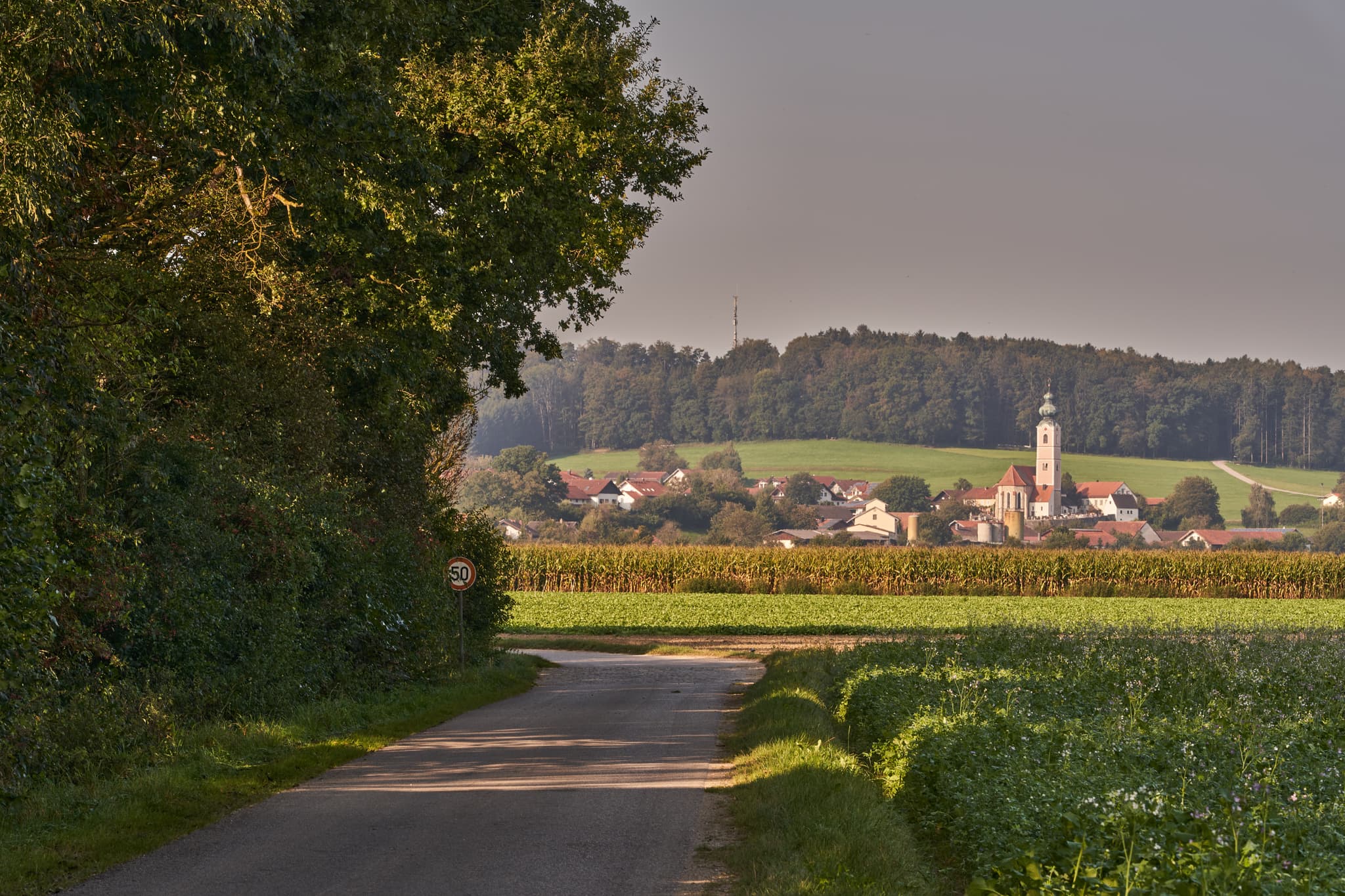 Pilgerweg Richtung Mehring, Badhöring, Altötting, Oberbayern - Pilgerweg bei Badhöring, Gemeinde Mehring, Landkreis Altötting, Oberbayern, Inn-Salzach, Deutschland. Ländliche Szenerie mit Feldern und der Kirche Badhörings.