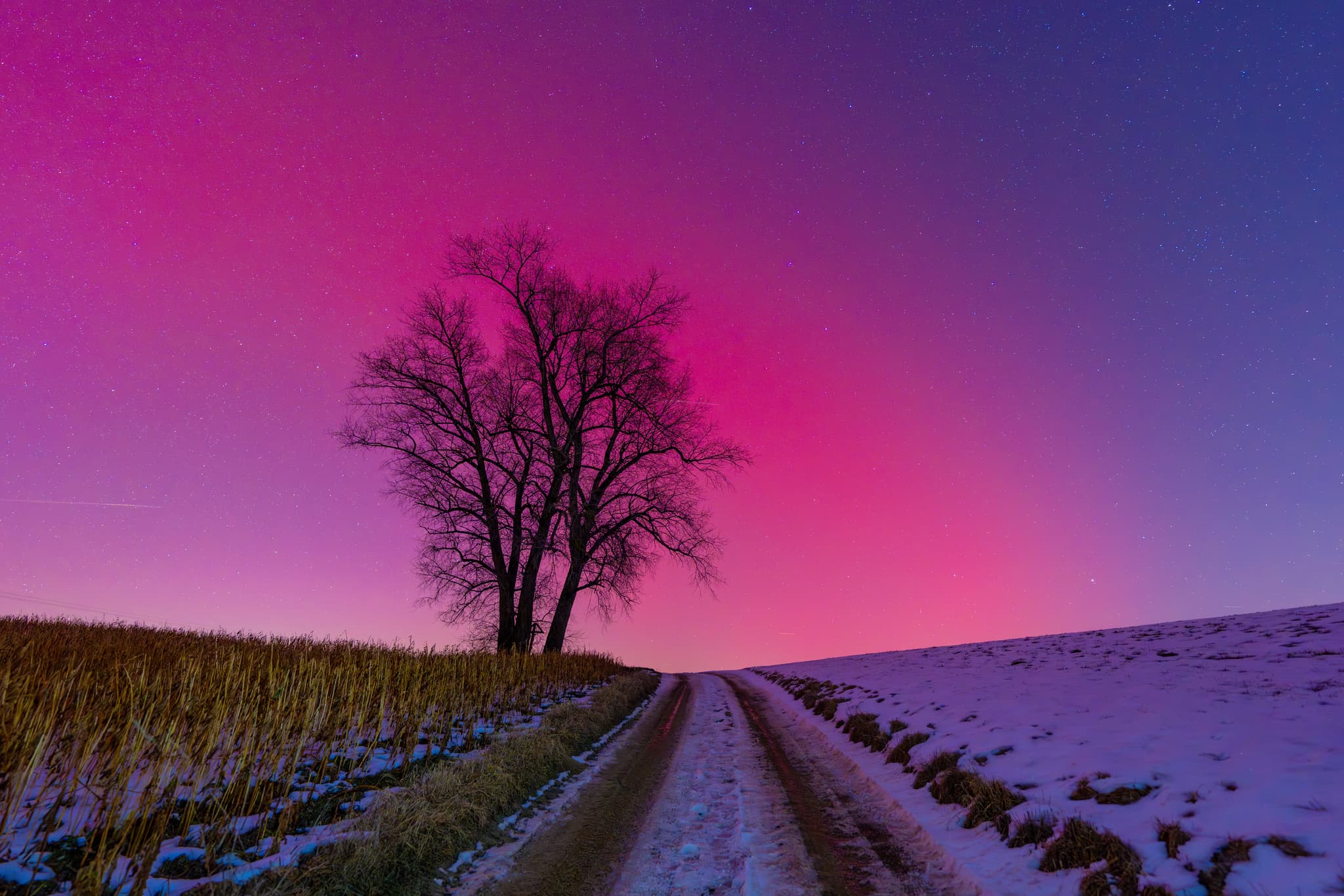 Polarlichter 19.01.2026, Petzlberg, Altötting, Oberbayern · KP Index 8, hier eines der letzten Bilder des Ereignisses.
