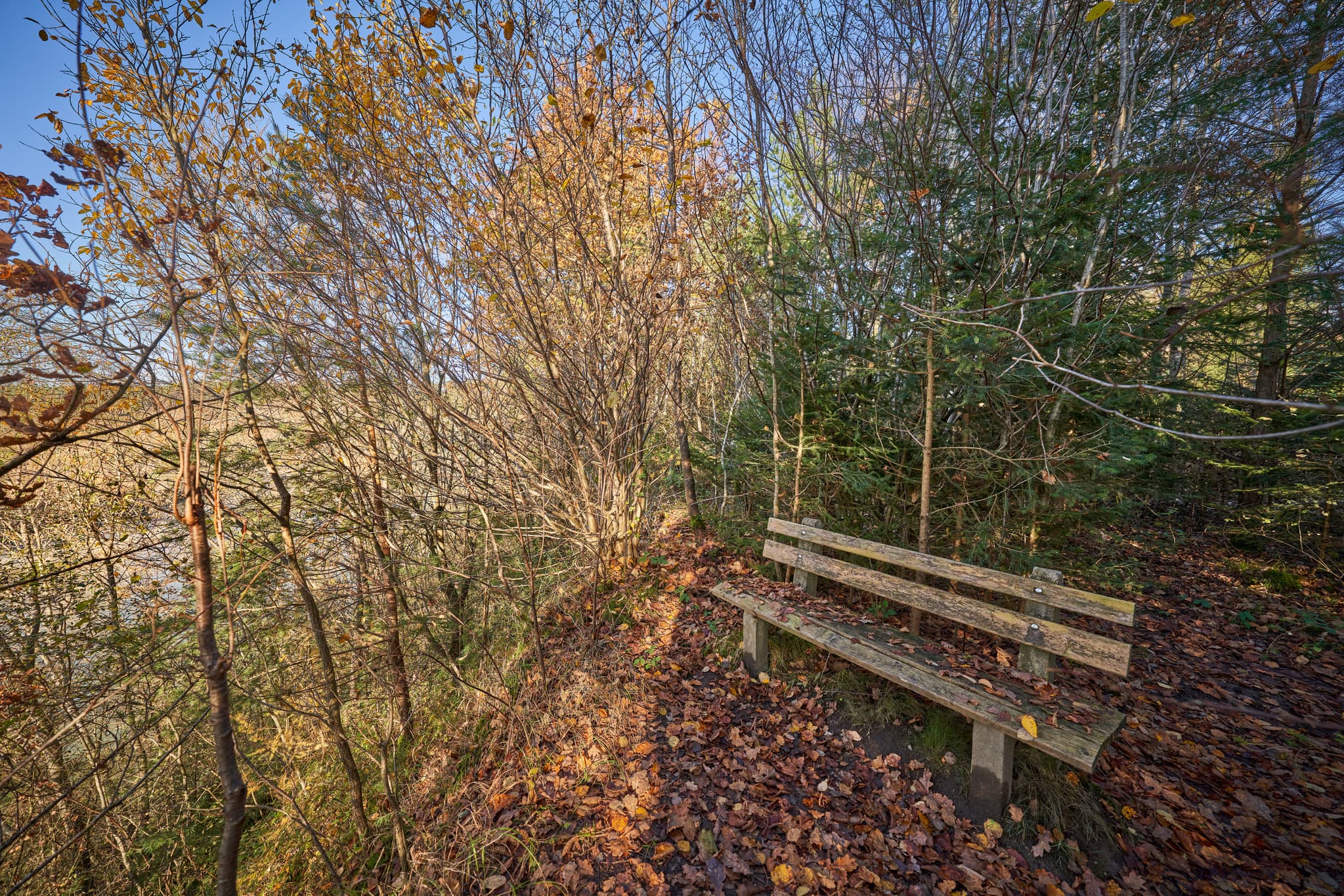 Prallhang Inn Ebing, Polling, Mühldorf, Inn-Salzach - Prallhang Inn Ebing, eine malerische Naturlandschaft bei Polling im Landkreis Mühldorf am Inn, Oberbayern, Region Inn-Salzach, Deutschland.