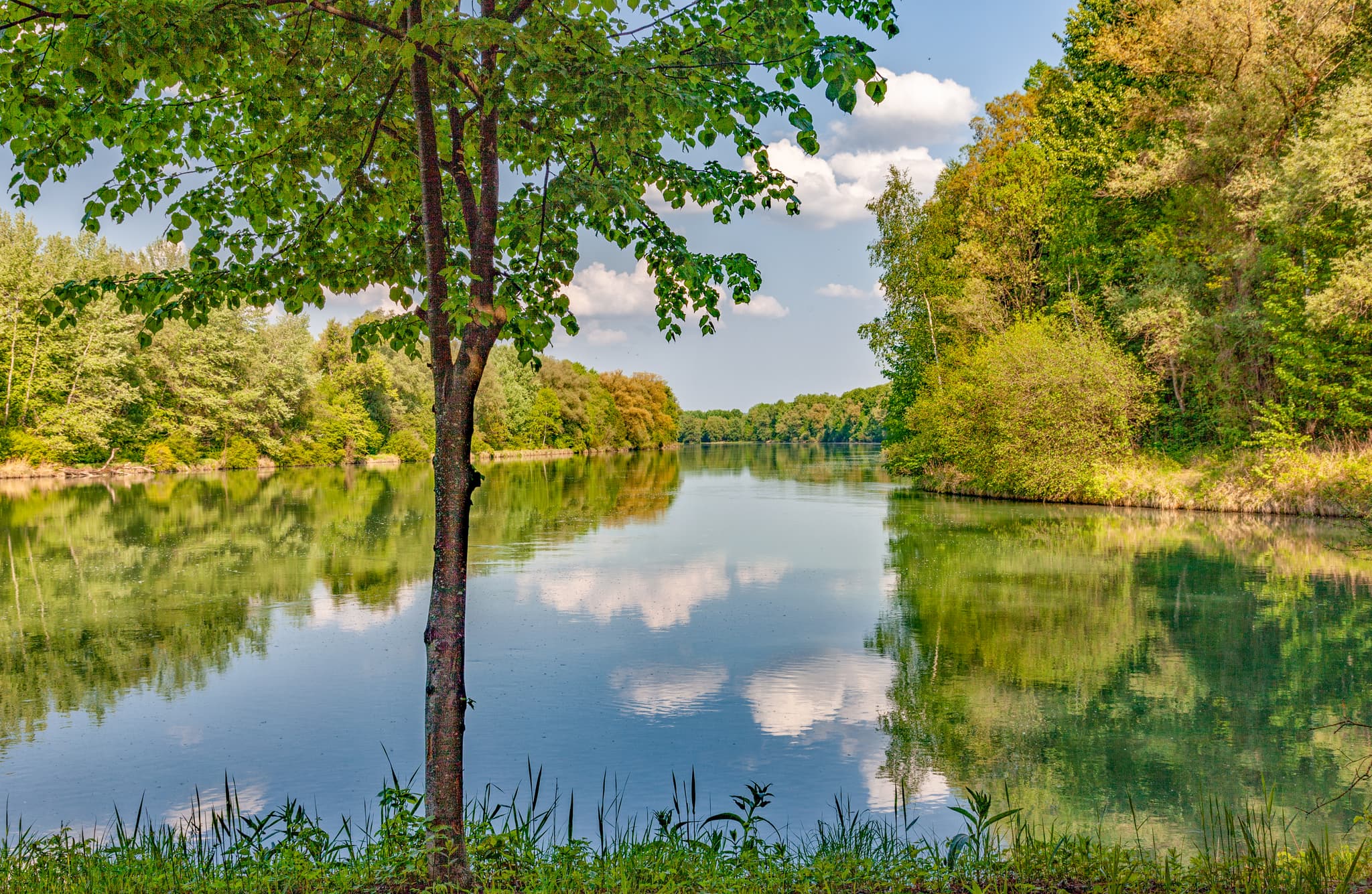 Radweg rechte Seite Inn Abwärts, Neuötting, Altötting - Inn höhe Roja, Alzgern, gesäumt von Bäumen und Grün. Idyllisches Bild aus Neuötting, Landkreis Altötting, Oberbayern, Inn-Salzach.