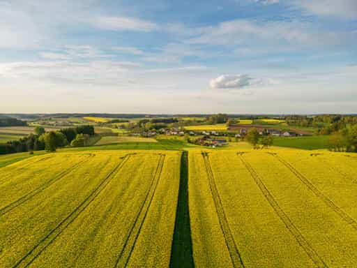Rapsfelder am Biberg, Holzham Luftbild, Arbing, Altötting