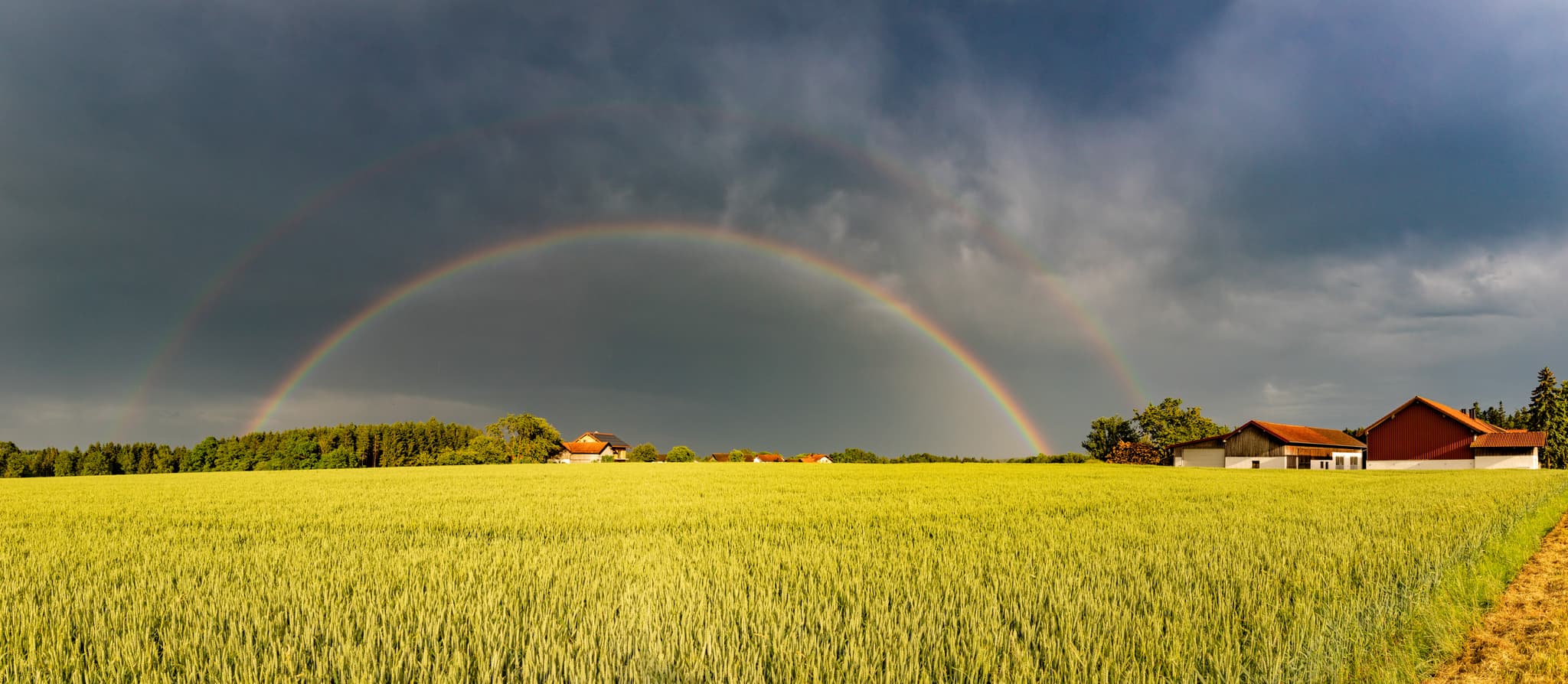 Regenbogen in Amering, Stubenberg, Rottal-Inn, Niederbayern - Regenbogen über einem Getreidefeld bei Amering, Stubenberg, Landkreis Rottal-Inn, Niederbayern, Region Holzland, Bäderdreieck, Deutschland.