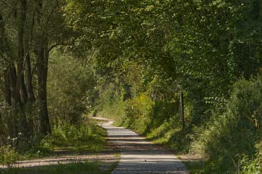 Richtung Raitenhaslach, Salzach, Altötting, Oberbayern