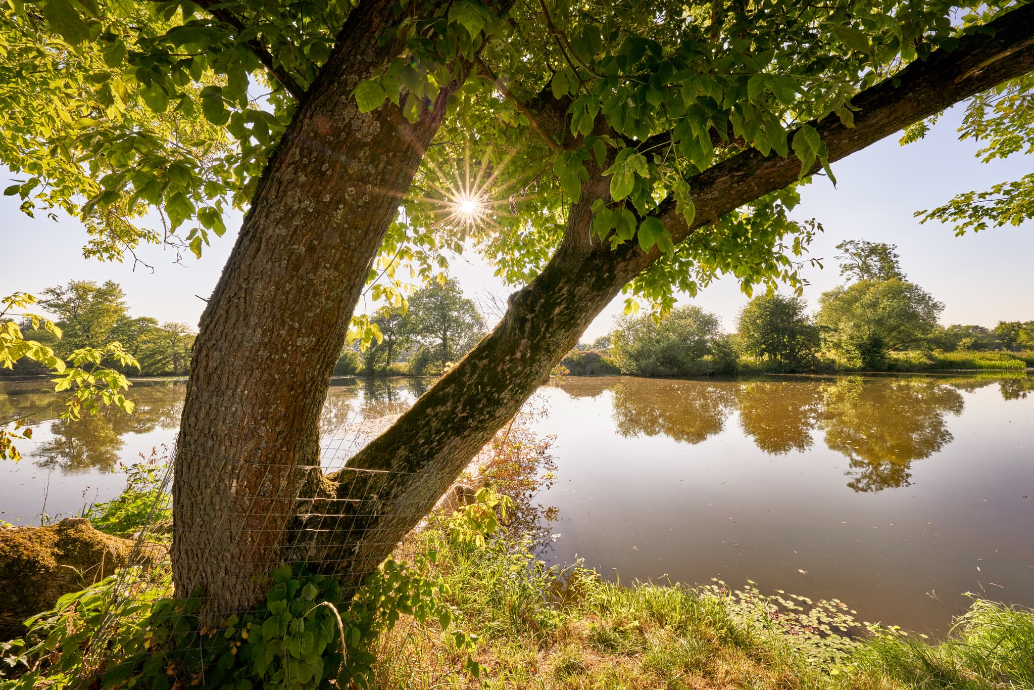 Rott, Bad Griesbach, Passau, Niederbayern, Bäderdreieck - Idyllische Szene an der Rott bei Schalkham, Bad Griesbach im Landkreis Passau, Niederbayern, Deutschland. Eine Landschaft im Herzen des Bäderdreiecks.