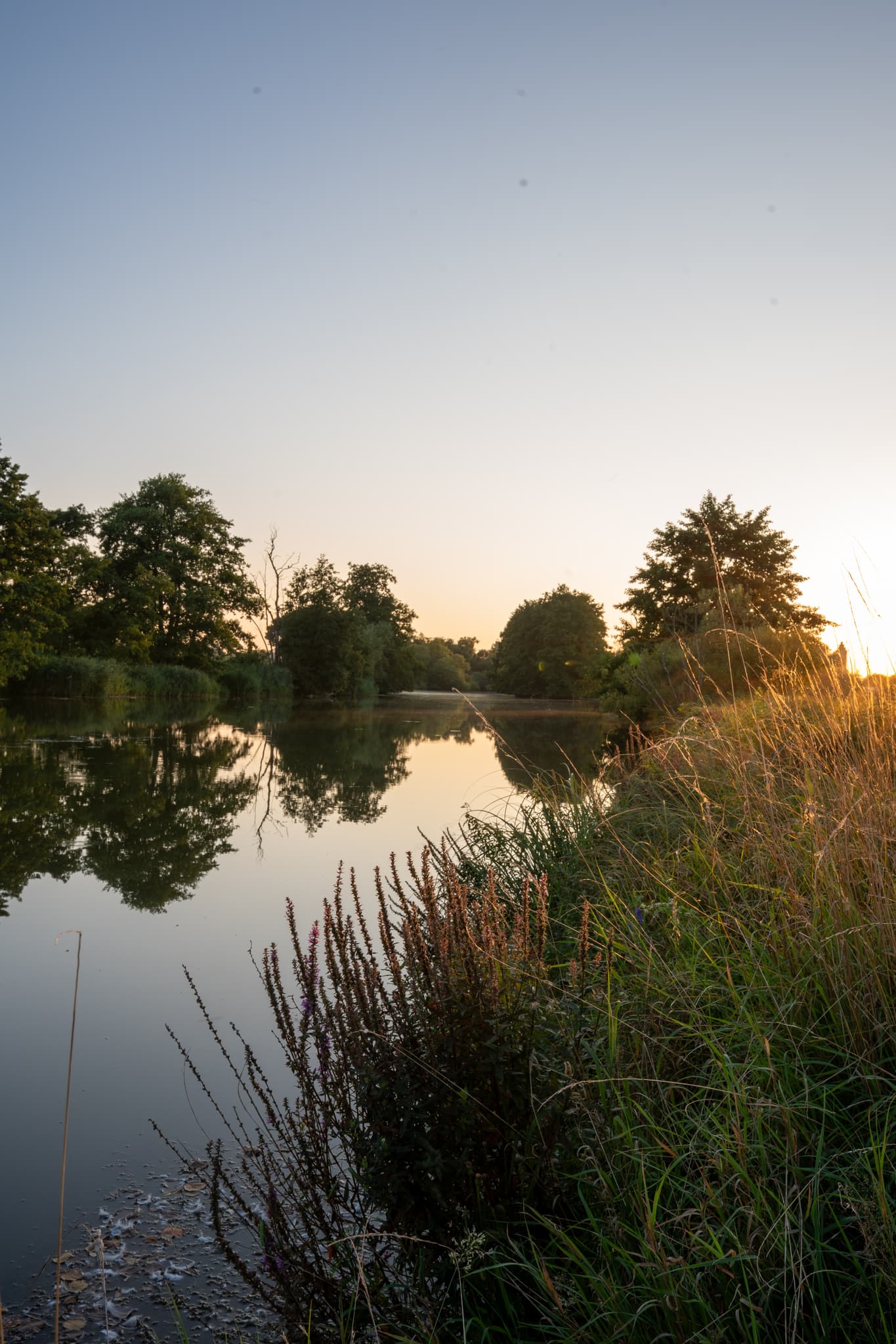 Rott bei unterdietfurt mit Blickrichtung Oberdietfurt - Ruhige Abendstimmung an der Rott bei Unterdietfurt  Spiegelung der Bäume im ruhigen Wasser, sanfte Lichtbrechung im hohen Gras.Warme Farben des Sonnenuntergangs