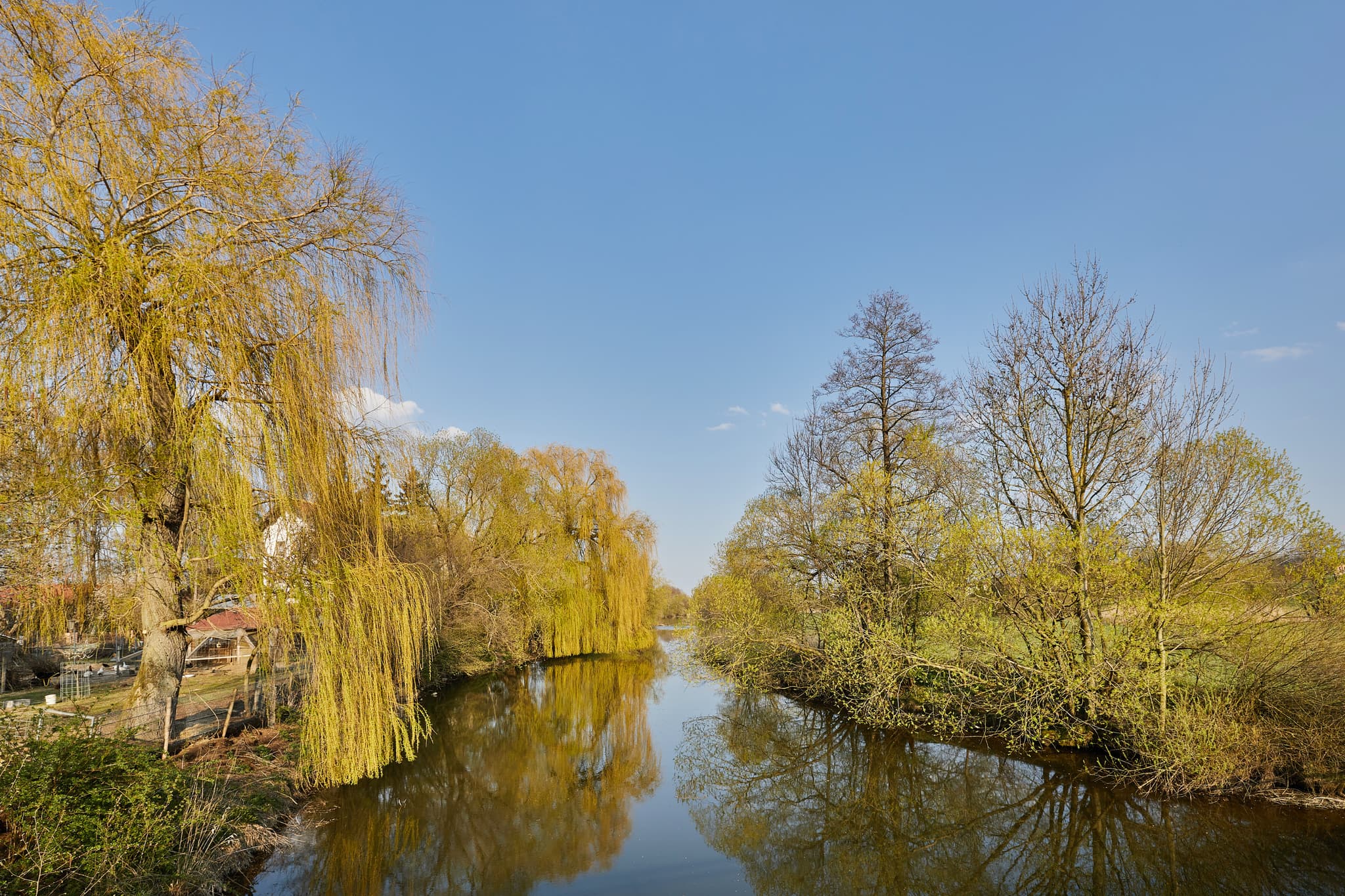 Rott, Fluss, Massing, Rottal-Inn, Niederbayern - Landschaftliche Aufnahme der Rott mit Weidenbäumen in Oberdietfurt, Gemeinde Massing. Landkreis Rottal-Inn, Niederbayern, Region Holzland, Deutschland.
