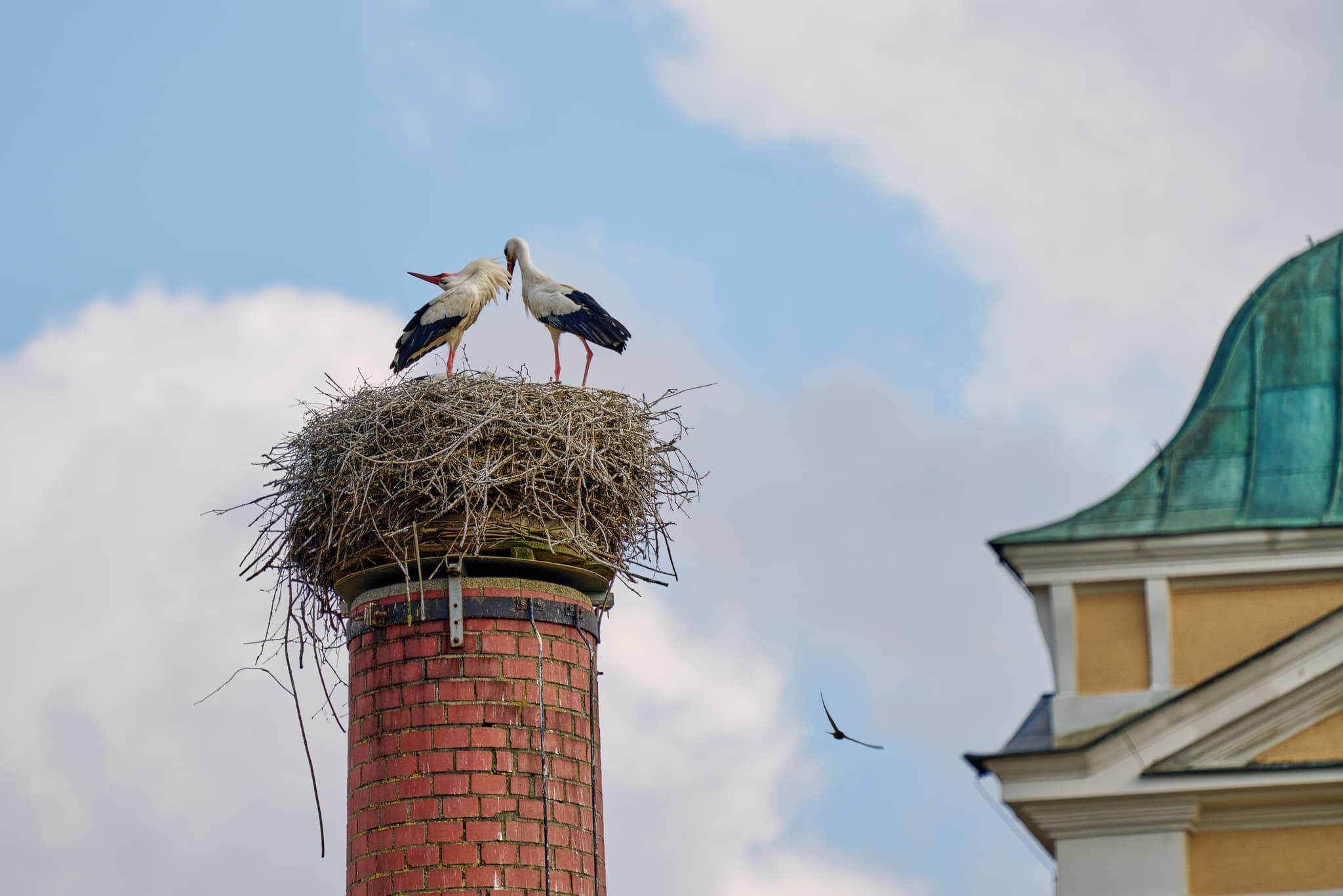 Rott im Herbst, Bad Birnbach, Niederbayern, Bäderdreieck - Der Fluss Rott, umgeben von herbstlichen Bäumen, im Nebel bei Bad Birnbach. Die Landschaft im Landkreis Rottal-Inn, Niederbayern, Region Bäderdrieck.