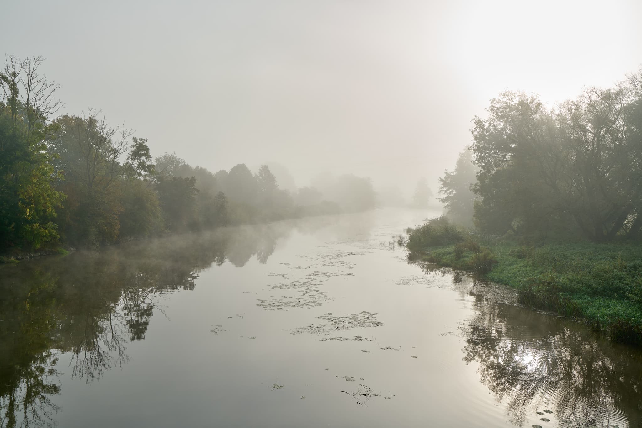 Rott im Herbst, Bad Birnbach, Niederbayern, Bäderdreieck - Nebellandschaft an der Rott in Bad Birnbach, Landkreis Rottal-Inn, Niederbayern. Flusslandschaft im Bäderdreieck zeigt dicht bewachsene Ufer im Morgendunst.