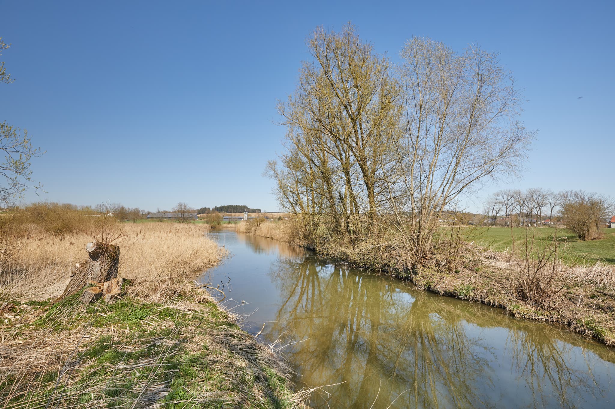 Rott Seitenarm, Unterdietfurt, Rottal-Inn, Niederbayern - Seitenarm der Rott bei Unterdietfurt, Landkreis Rottal-Inn, Niederbayern. Flusslandschaft im Holzland, Deutschland, mit Schilf und Bäumen unter blauem Himmel.