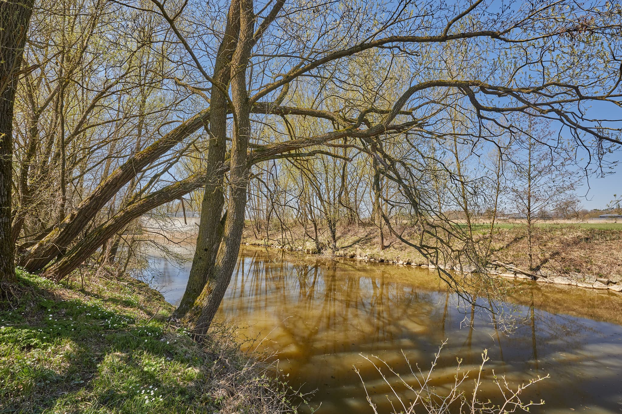 Rott, Ufer, Bäume in Unterdietfurt, Rottal-Inn, Niederbayern