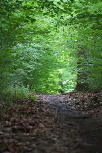 Rundweg um Winhöring zur Isen und zum Schloss Frauenbühl