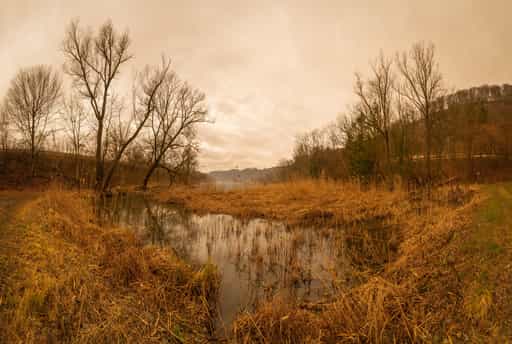 Saharastaub vom 15.03.2022, Marktler Badesee, Altötting
