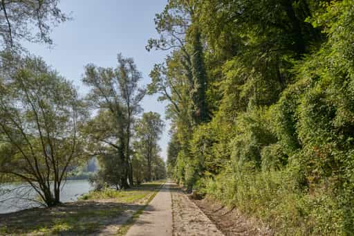 Salzach Richtung Raitenhaslach, Burghausen, Altötting
