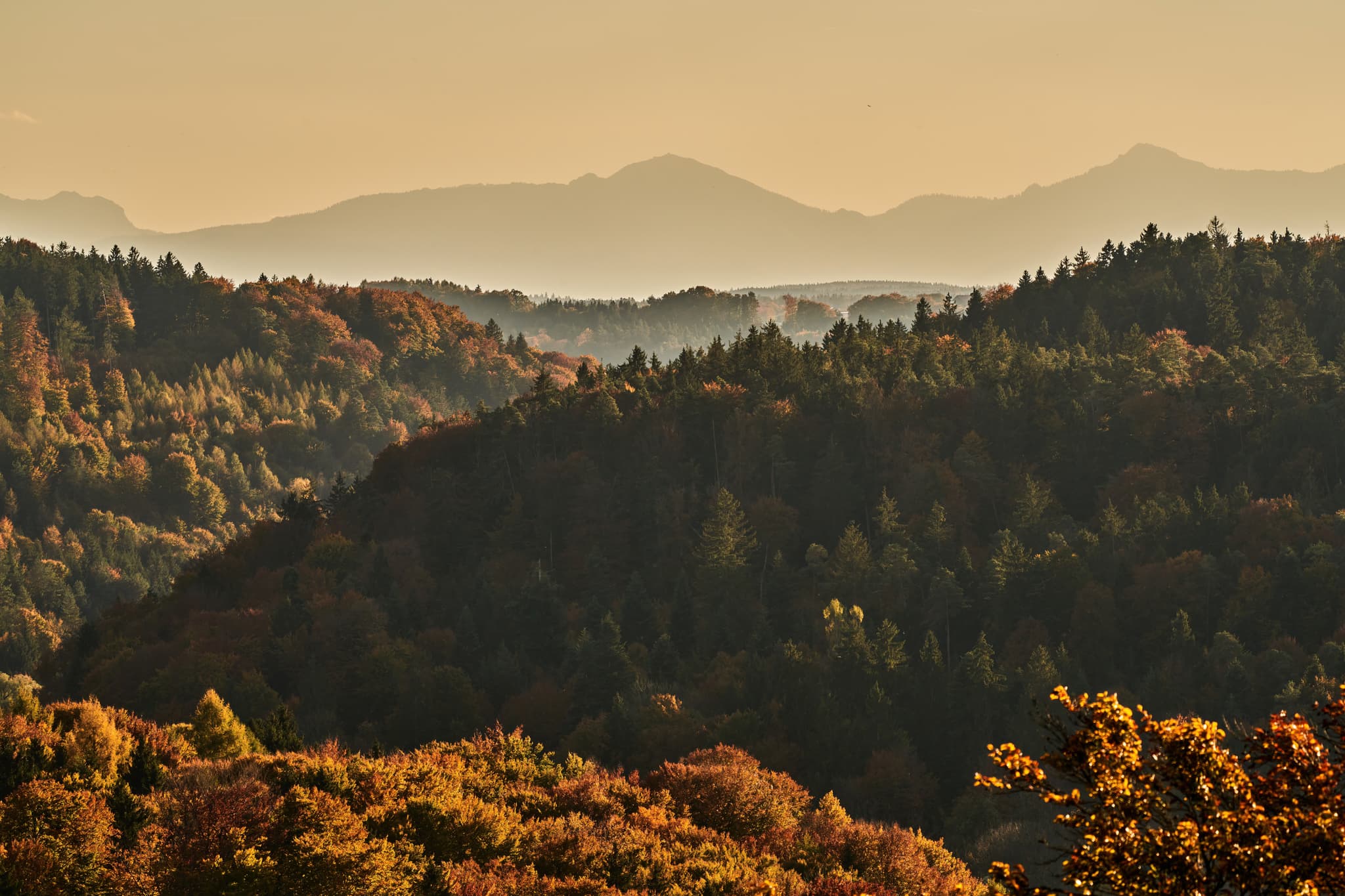 Salzachtal und Alpenblick in Pirach, Burgkirchen, Altötting - Panorama Salzachblick Pirach in Burgkirchen, Landkreis Altötting, Oberbayern, Inn-Salzach Regioin. Herbst-Waldlandschaft mit sanften Hügeln und Alpenblick.