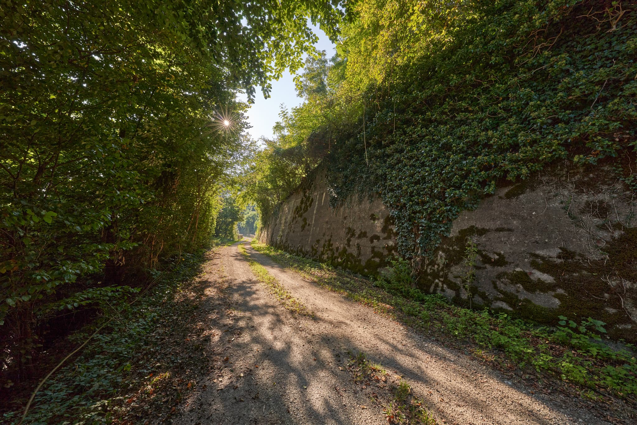 Salzhandelsweg n, Heilig Kreuz Marienberg, Altötting - Weg durch grünen Naturtunnel mit alter, efeubewachsener Mauer. Gelegen in Heilig Kreuz Marienberg, Burghausen, Landkreis Altötting, Oberbayern, Inn-Salzach.