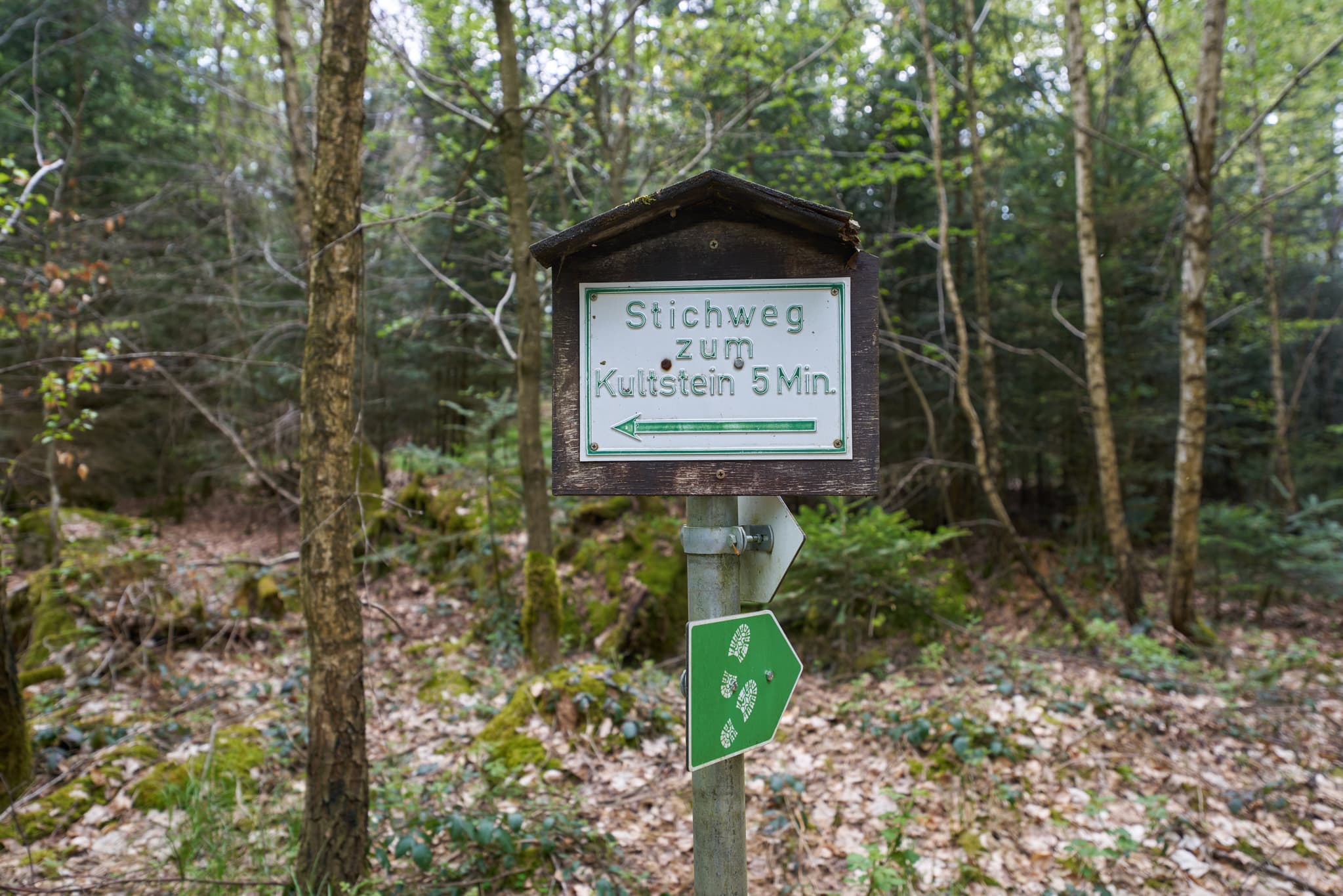 Schild zum Kultstein, St. Salvator, Bad Griesbach, Passau - Wegweiser Kultstein bei St. Salvator, Bad Griesbach, Landkreis Passau, Niederbayern, Deutschland. Bild zeigt einen Waldweg mit Blätterboden.
