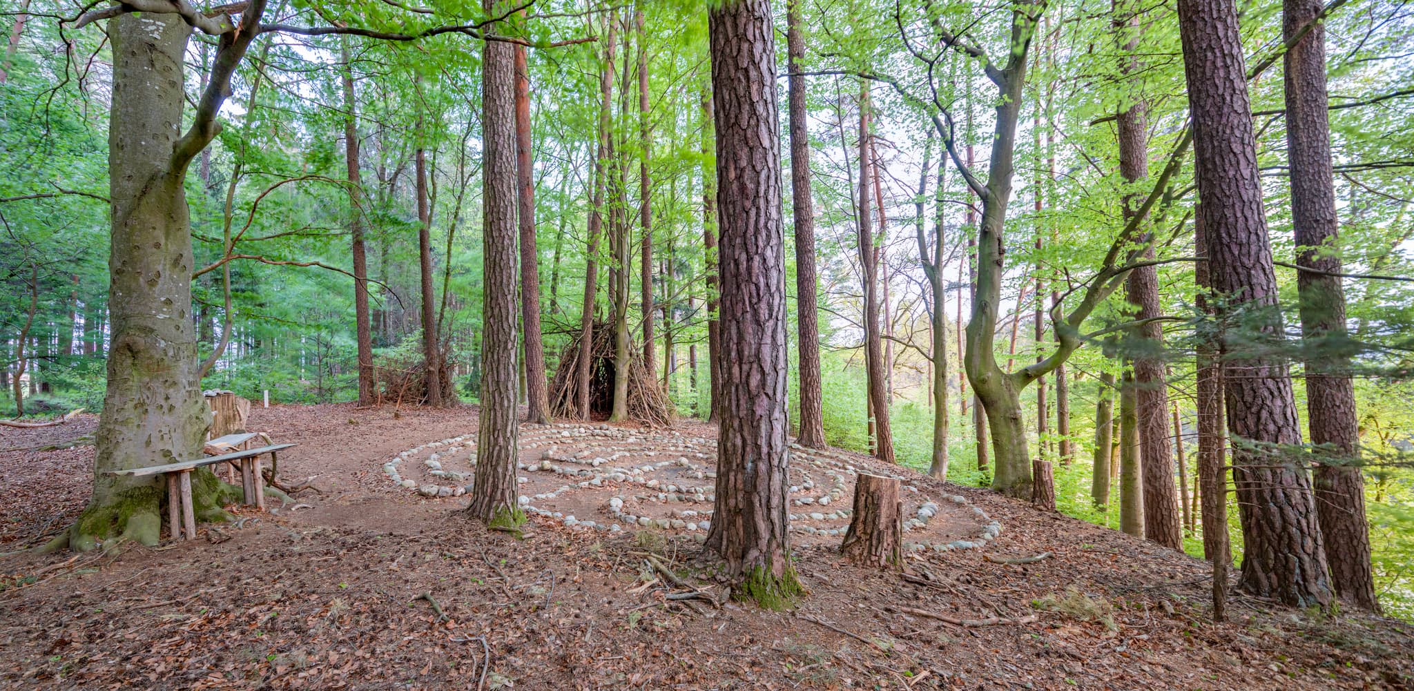 Schildthurn Schmiding Steinlabyrith, Zeilarn, Niederbayern - Ein Steinlabyrith in einem Wald bei Zeilarn, Rottal-Inn, Niederbayern, Deutschland. Das Holzland prägt die Landschaft mit Bäumen. Holzbank und Ast-Tipi.
