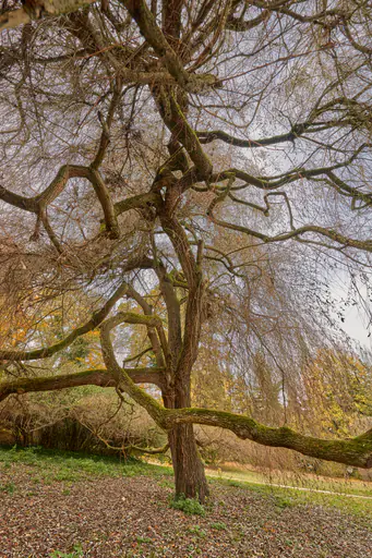 Schllosspark Baum, Schönau, Rottal-Inn, Niederbayern