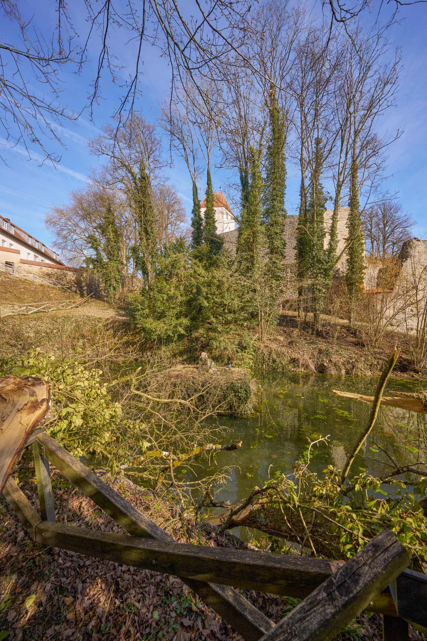 Schloss Neuburg am Inn, Landkreis Passau, Niederbayern - Historisches Schloss Neuburg am Inn im Landkreis Passau, Niederbayern, Deutschland. Ansicht mit Wassergraben, Bäumen. Teil der Donau-Wald Region.
