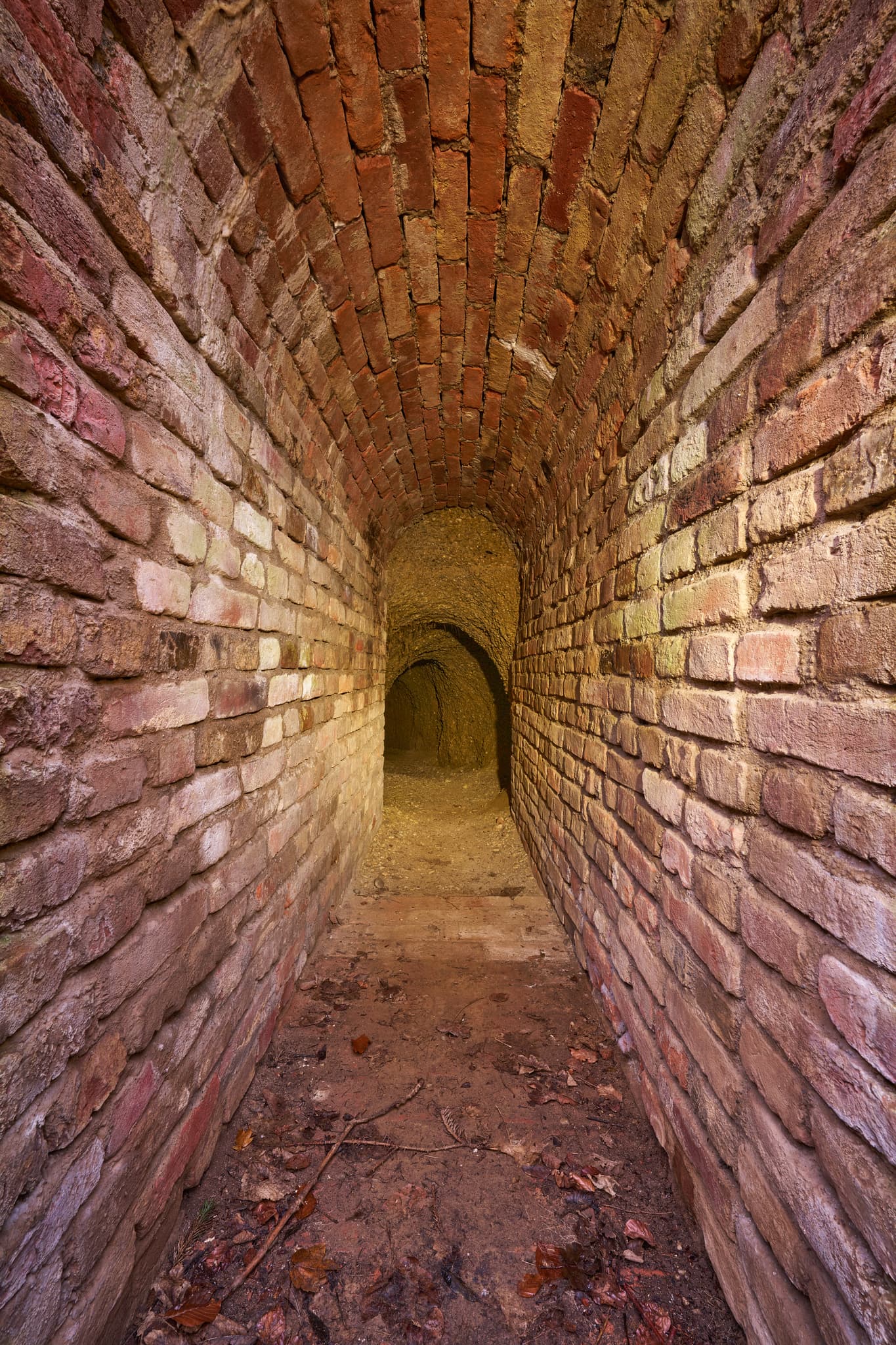 Schlossberg Burgstall Eingang, Julbach, Rottal-Inn - Burgstall, Ziegelmauerwerk-Tunnel im Schlossberg bei Julbach, Gemeinde Julbach, Landkreis Rottal-Inn, Niederbayern, Holzland/Bäderdrieck, Bayern, Deutschland.