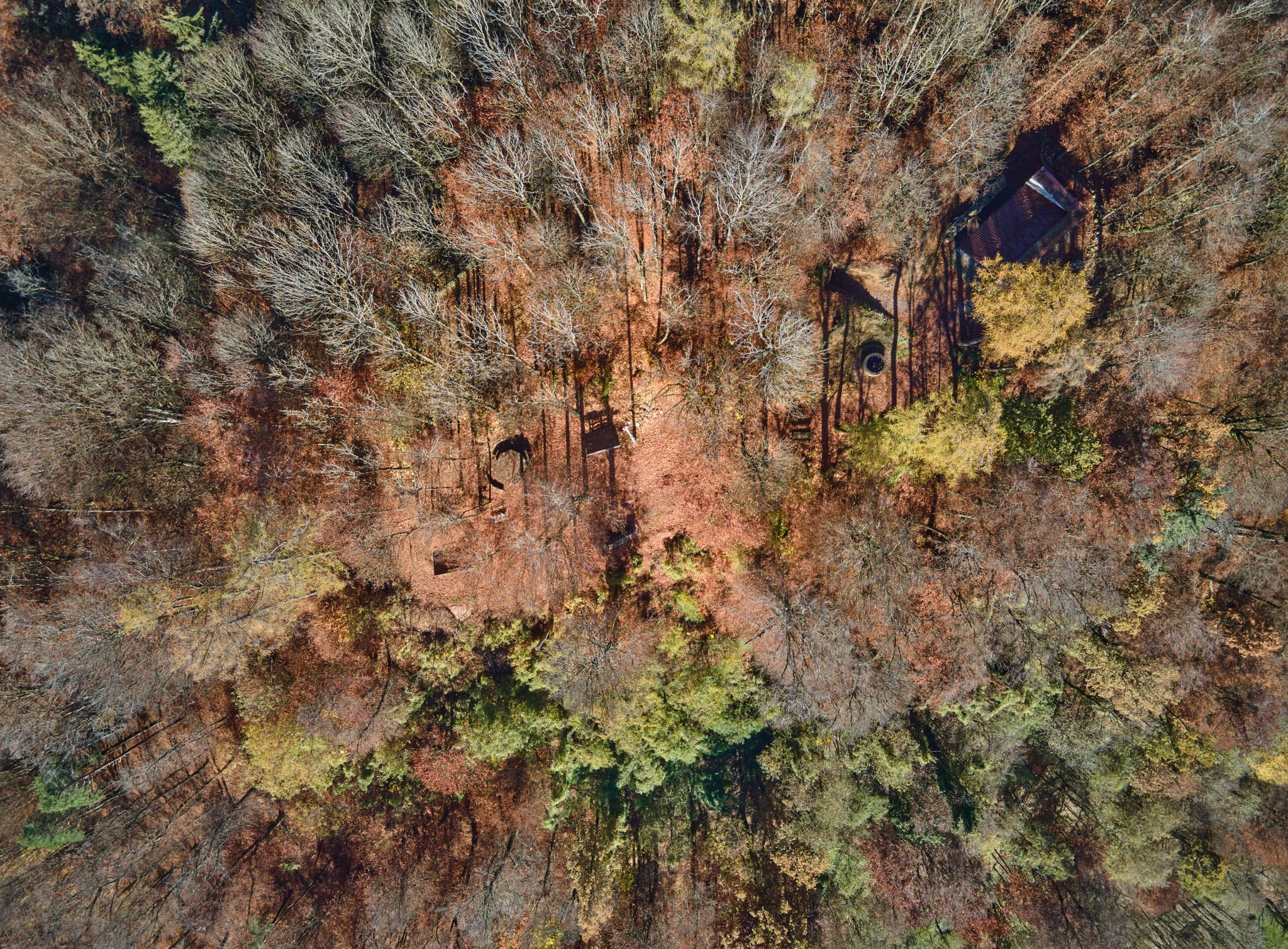 Schlossberg Geländeübersicht Herbst, Julbach, Rottal-Inn - Herbstliches Luftbild, Waldlandschaft am Schlossberg bei Julbach, Landkreis Rottal-Inn, Niederbayern, Holzland/Bäderdreieck, Bayern, Deutschland.