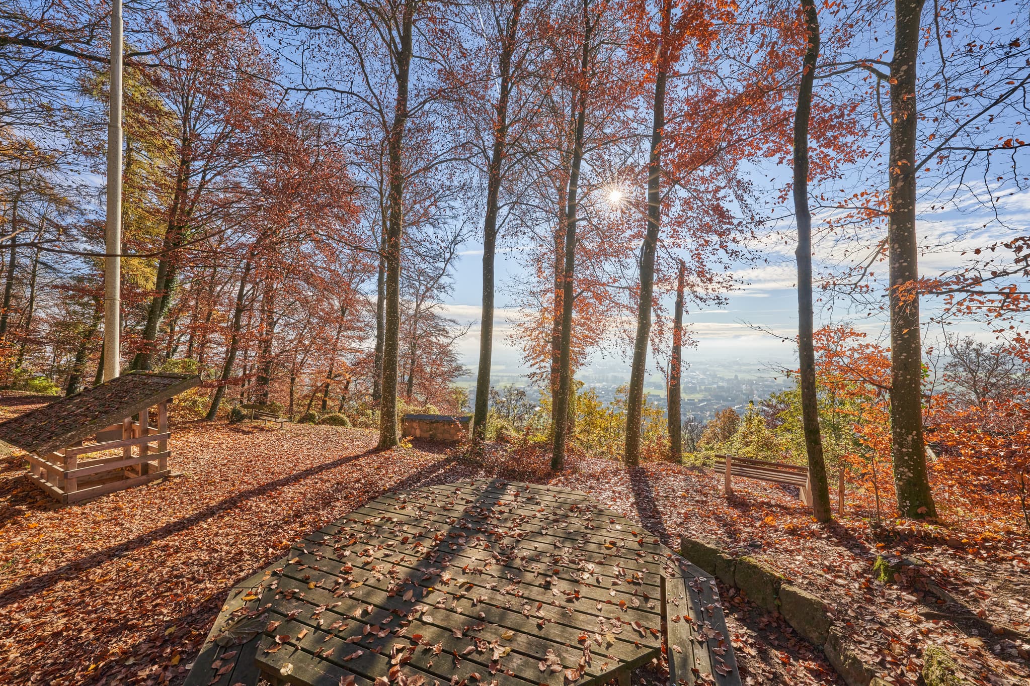 Schlossberg, Runder Tisch Herbst, Julbach, Rottal-Inn - Runder Tisch im Herbst auf dem Schlossberg in Julbach, Gemeinde Julbach, Landkreis Rottal-Inn, Niederbayern, Holzland, Bayern, Deutschland.