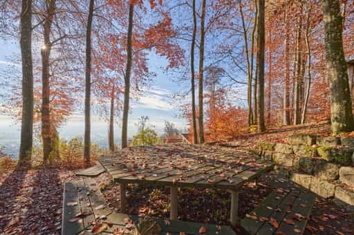 Schlossberg, Runder Tisch Herbst, Julbach, Rottal-Inn