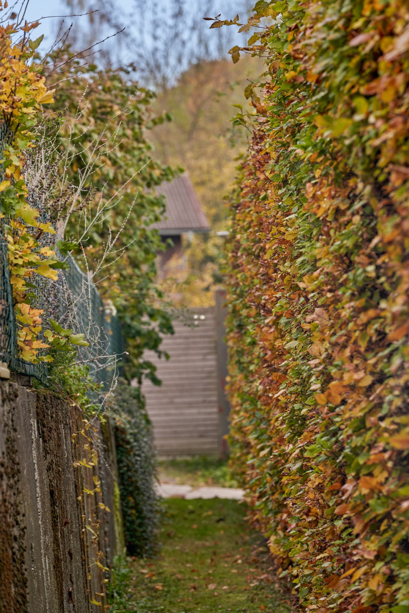 Schmaler Durchgang alte Schule Hörniweg, Rottal-Inn