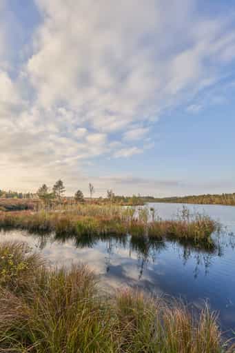 Schönramer Filz Moorsee, Petting, Landkreis Traunstein