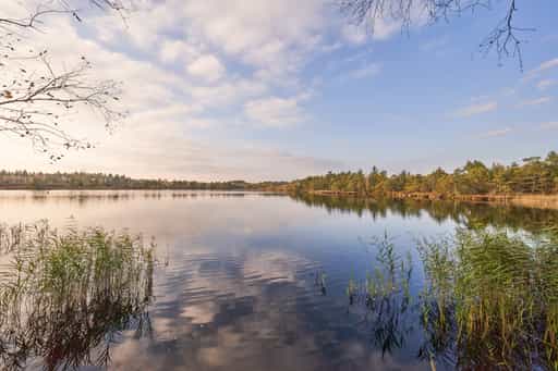 Schönramer Filz Moorsee, Petting, Traunstein, Oberbayern