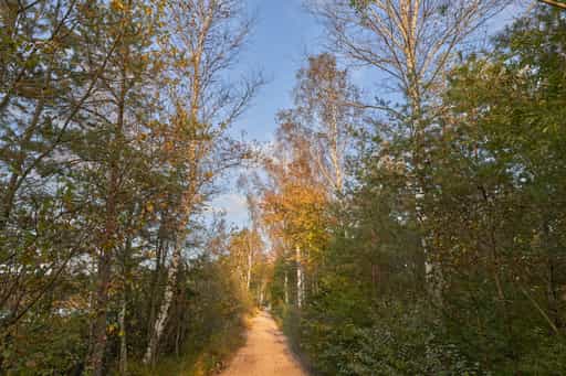Schönramer Filz, Petting, Traunstein, Oberbayern
