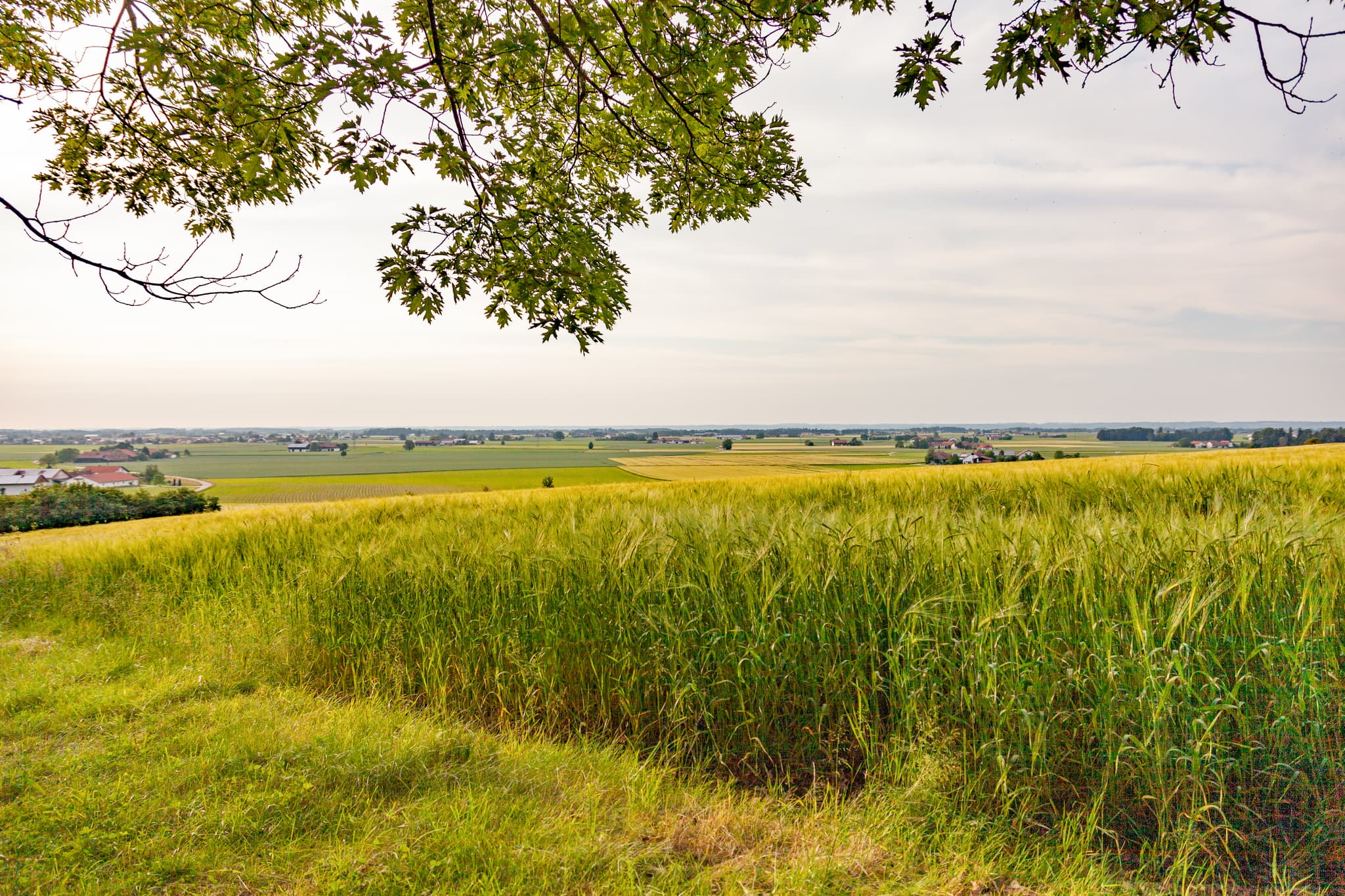 Schroffen Aussicht, Oberschroffen, Altötting, Oberbayern - Ländliche Weitblicke über Felder bei Oberschroffen, Unterneukirchen. Landkreis Altötting, Oberbayern, Region Inn-Salzach, Deutschland.