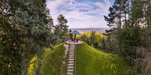 Schwammerl, Aussicht Schellebberg, Simbach, Rottal-Inn
