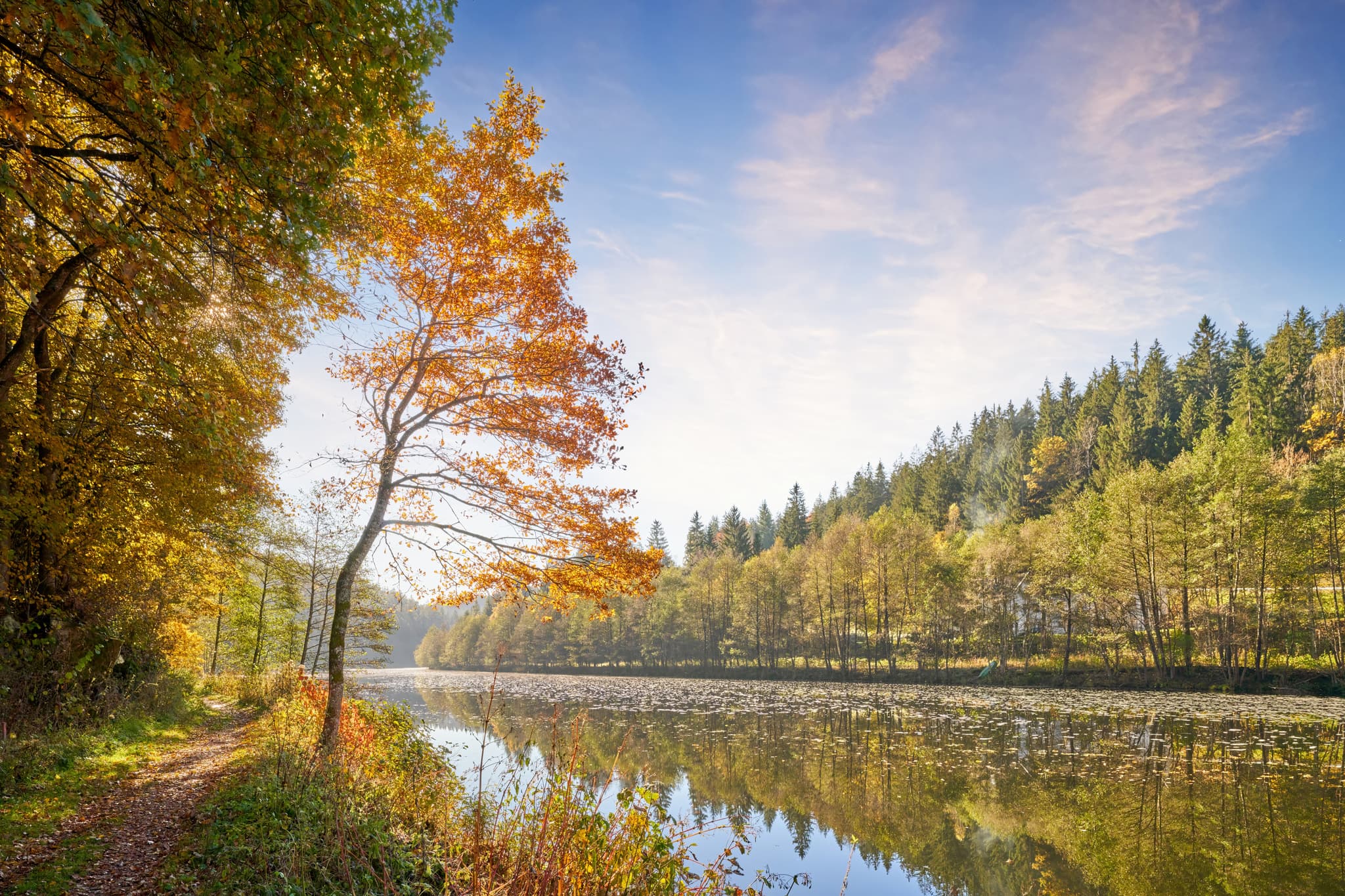 Schwarzer Regen Bayerisch Kanada, Gumpenried-Asbach, Regen - Herbstliche Uferlandschaft am Schwarzen Regen, Gumpenried-Asbach, Geiersthal, Landkreis Regen, Niederbayern. Malerische Natur im Bayerischen Wald, Deutschland.