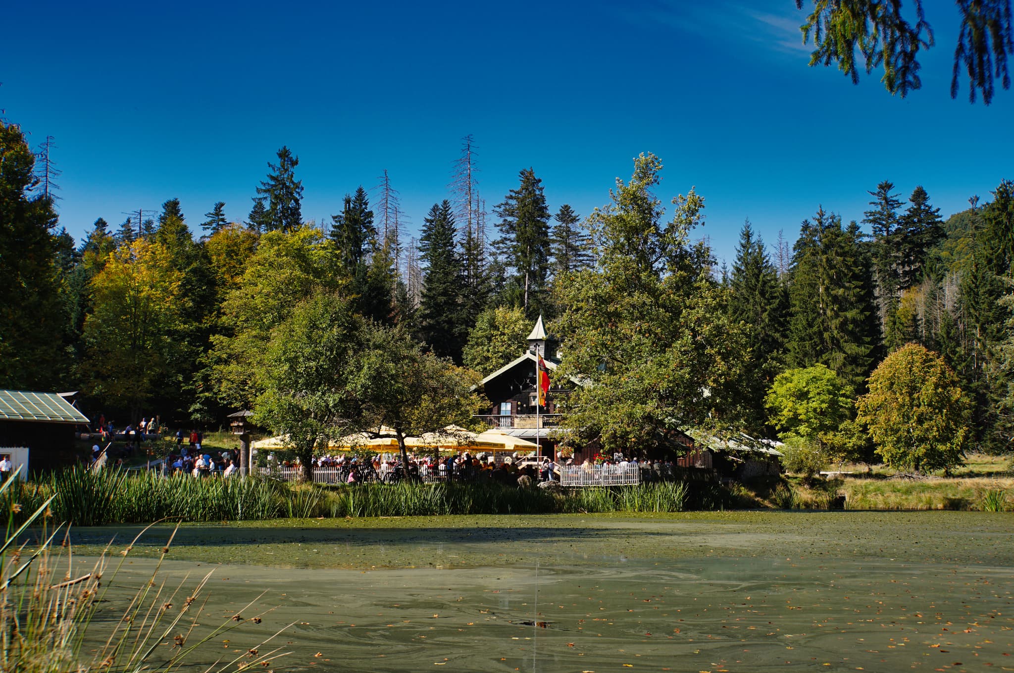 Schwellhäusl mit kleinem see zum verweilen - Idyllisches Schwellhäusl am Seeufer, umgeben von sattem Grün und hohen Nadelbäumen.  Sonnenverwöhnte Stimmung an einem klaren, blauen Himmel.  