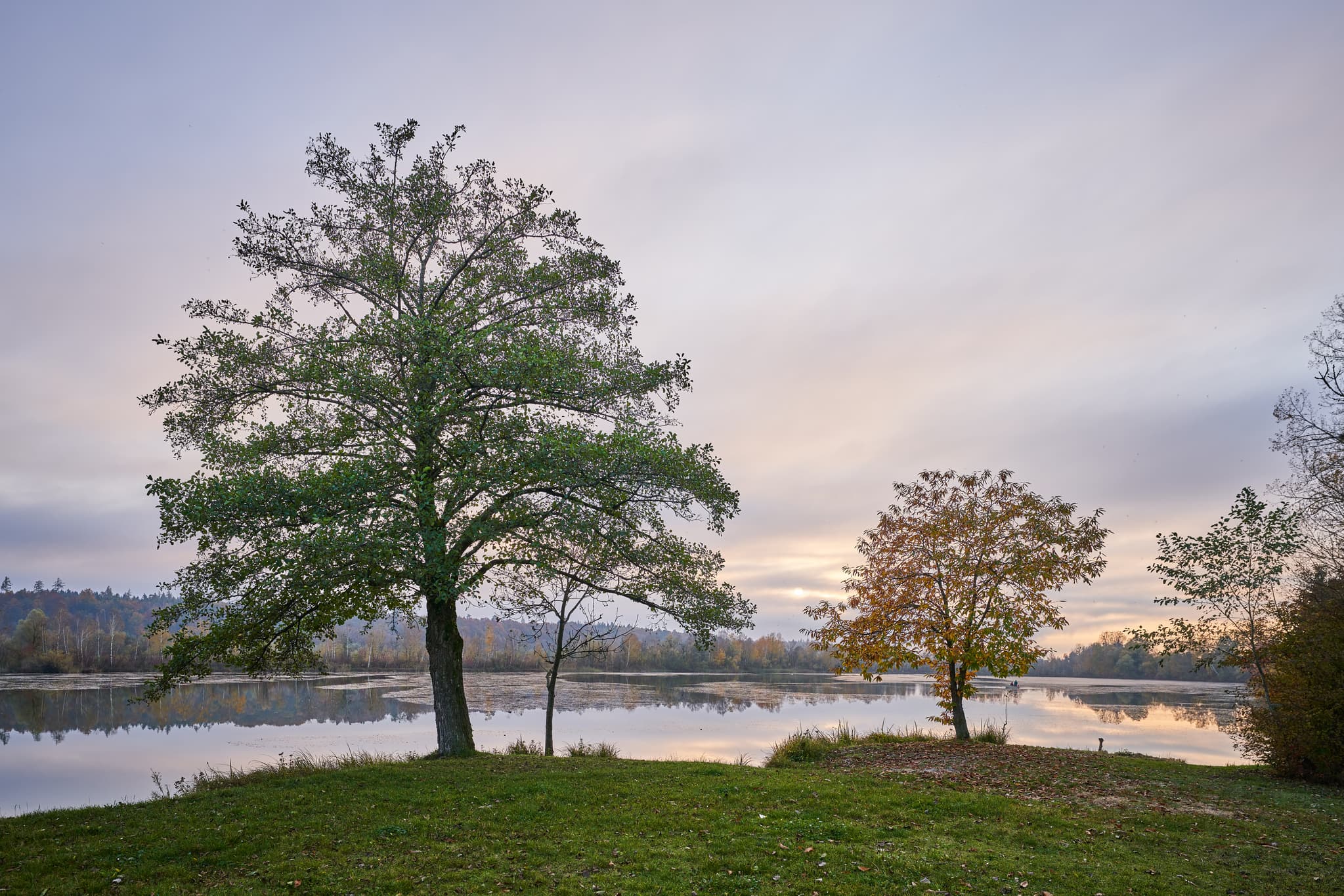 See, Gstetten Bergham, Niederbayern, Bäderdreieck - Blick auf den Gstetten Bergham See in Kirchdorf, Landkreis Rottal-Inn, Niederbayern. Bäume am Ufer und Wasserspiegelungen.