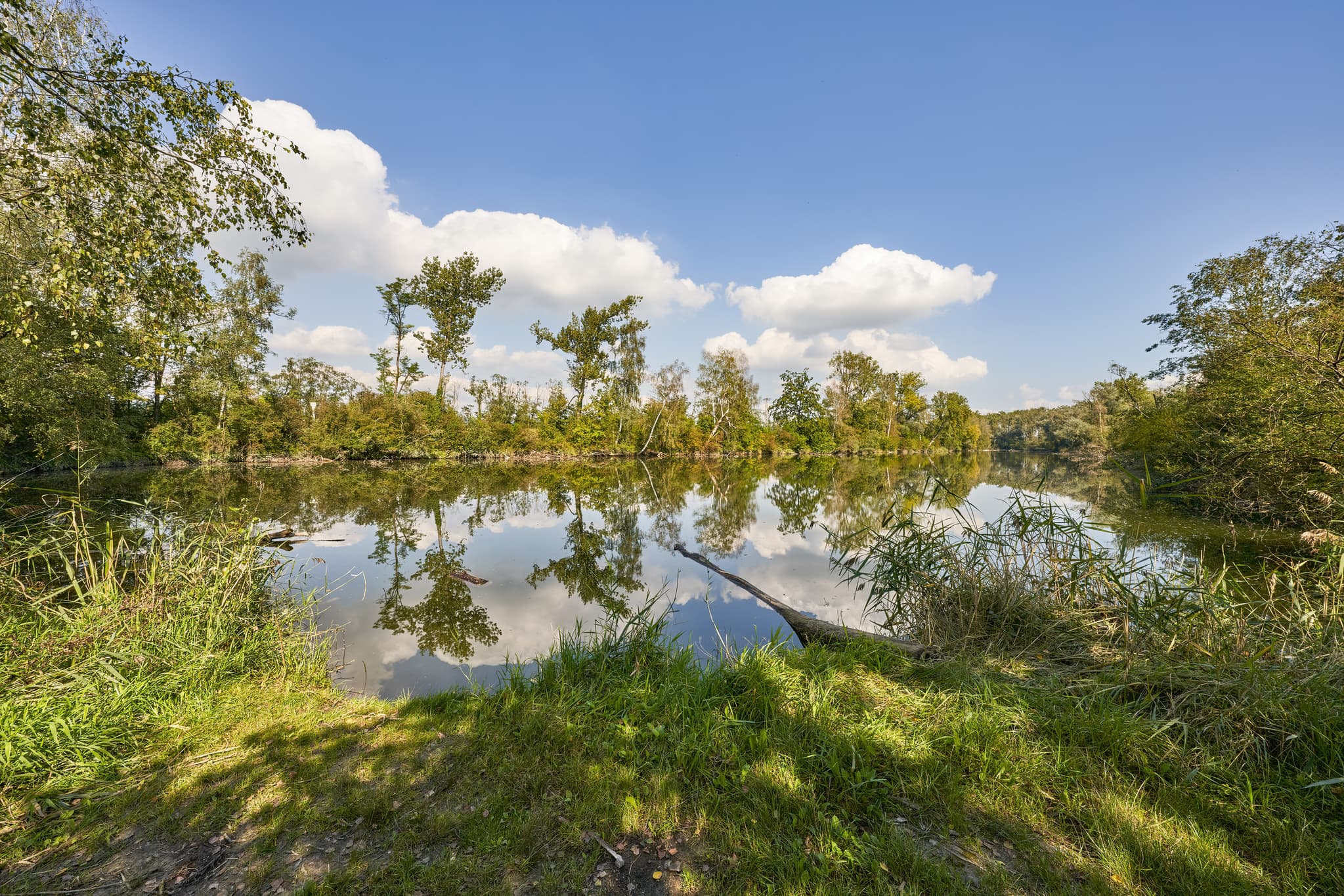 Silbersee Landschaft, Altötting, Oberbayern - Landschaftsaufnahme des Silbersees bei Altötting, Landkreis Altötting, Regierungsbezirk Oberbayern, Region Inn-Salzach, Bayern, Deutschland.