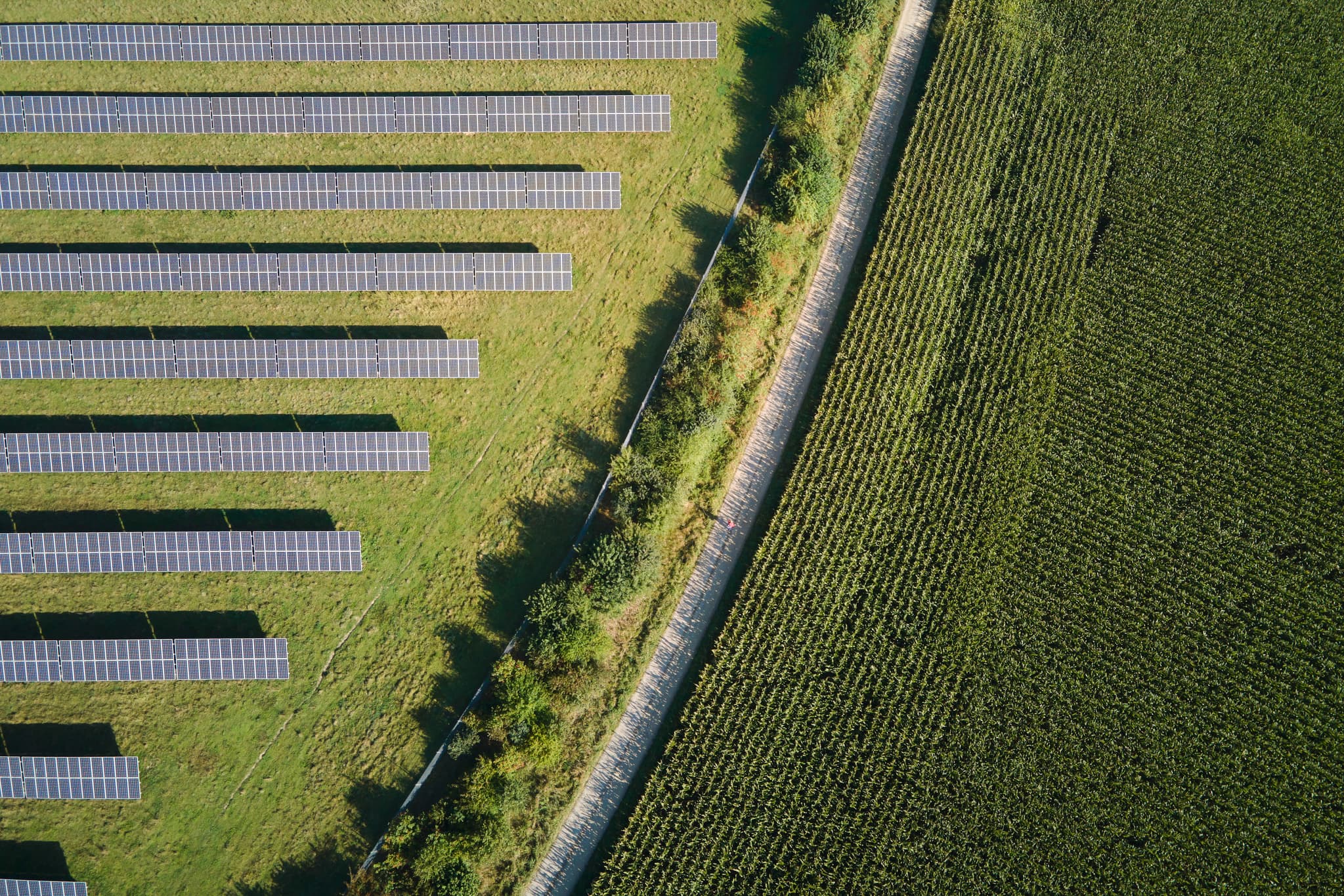 Solaranlage Richtung Reit, St.-Rupert-Pilgerweg, Altötting - Luftaufnahme einer Solaranlage am St.-Rupert-Pilgerweg in Kastl, Landkreis Altötting, Oberbayern. Angrenzend an Feldweg und Maisfelder, Region Inn-Salzach.